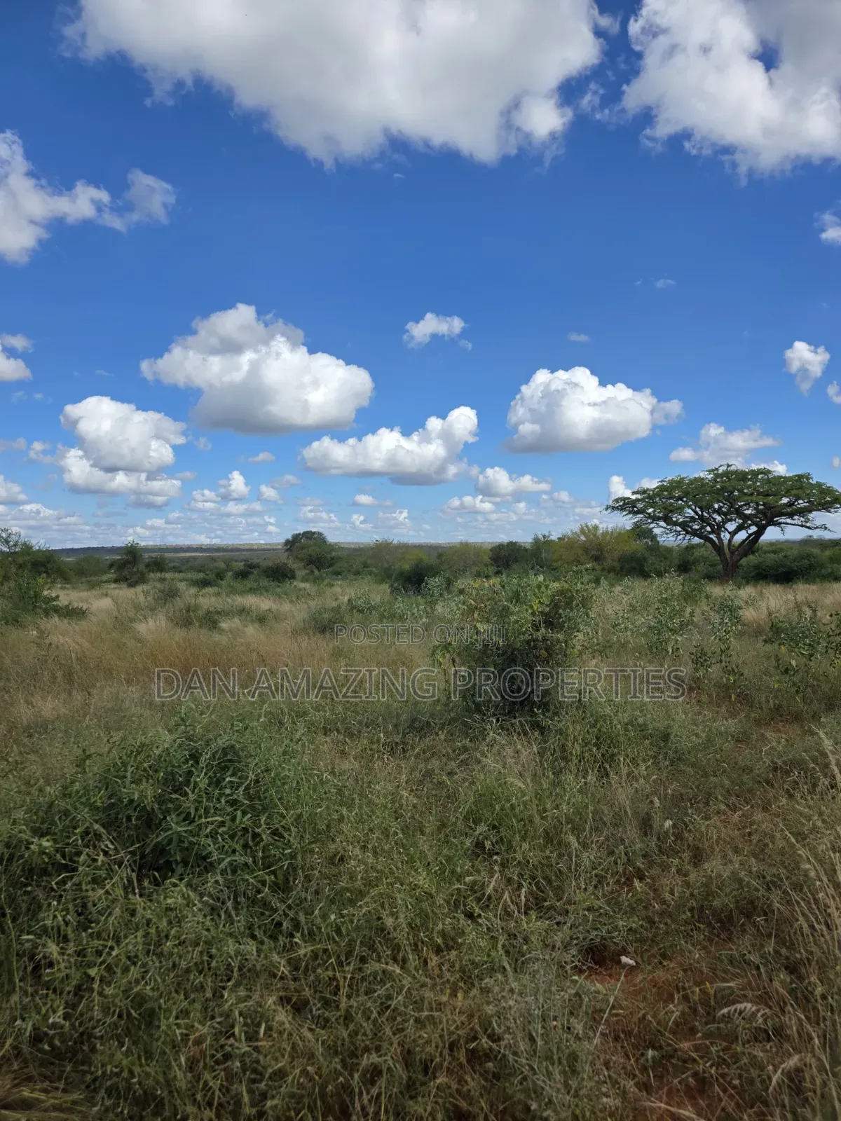 2 Acres With a Bedsitter House Kasigau Bungule for Sale as Block