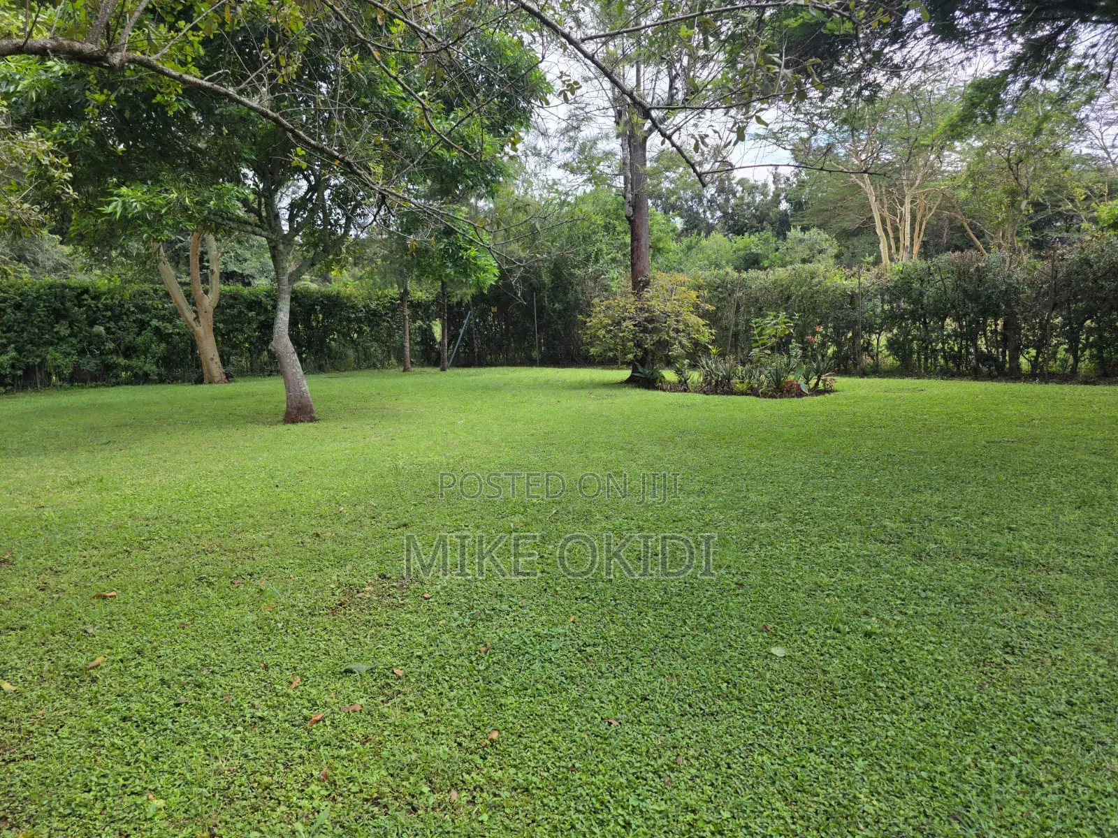 5bdrm Mansion in Galleria, Hardy for rent