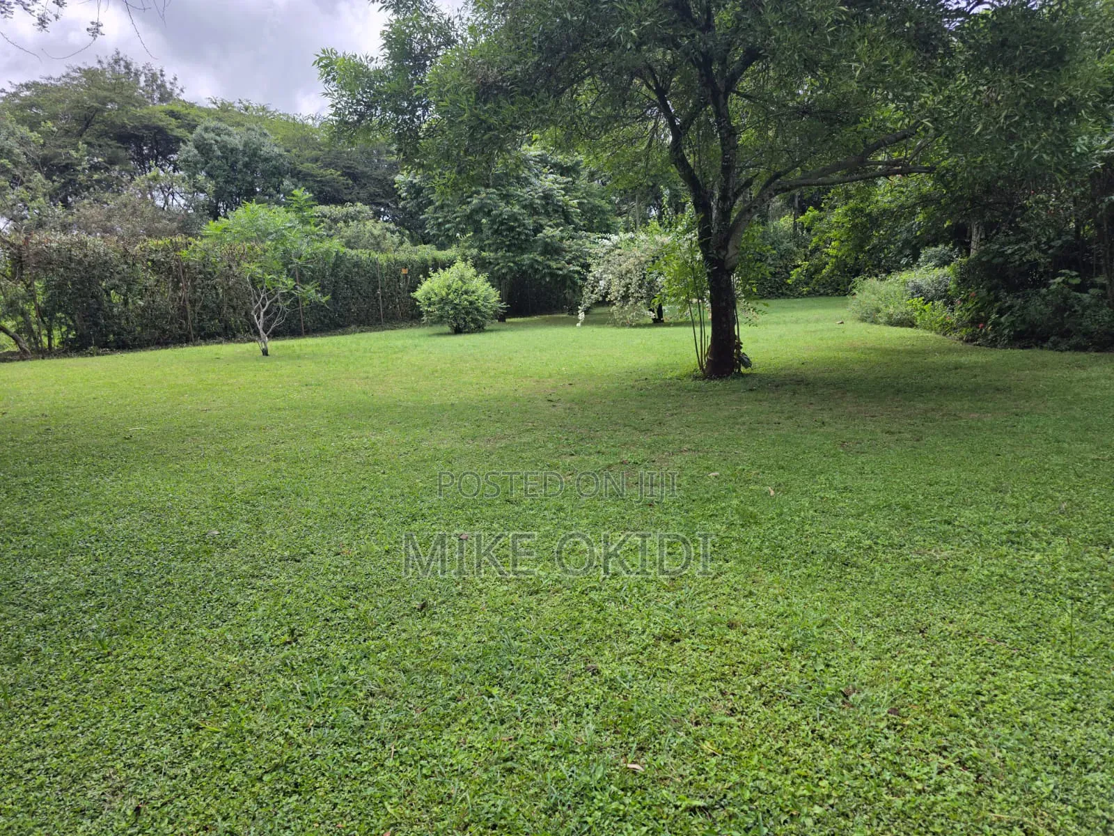 5bdrm Mansion in Galleria, Hardy for rent