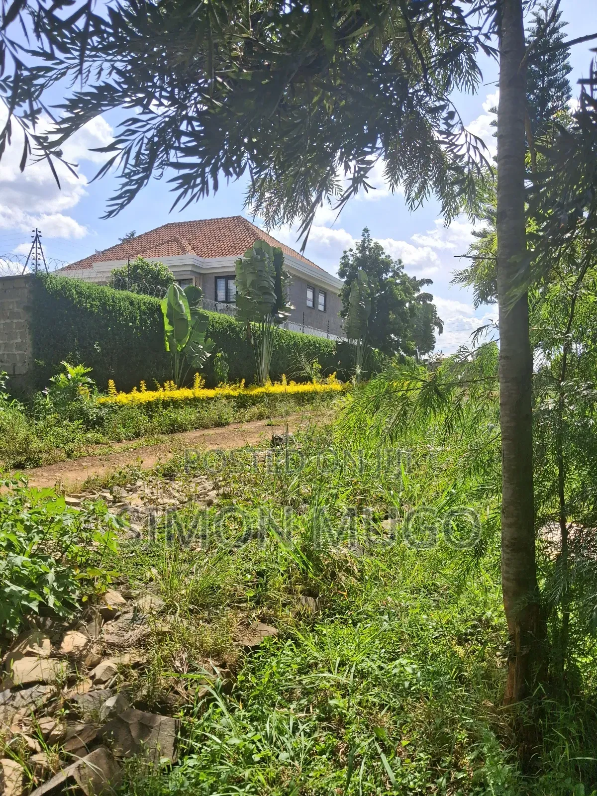 Golden Palm Estate Kiambu Secure Fully Serviced 1/4ac in Gated Court