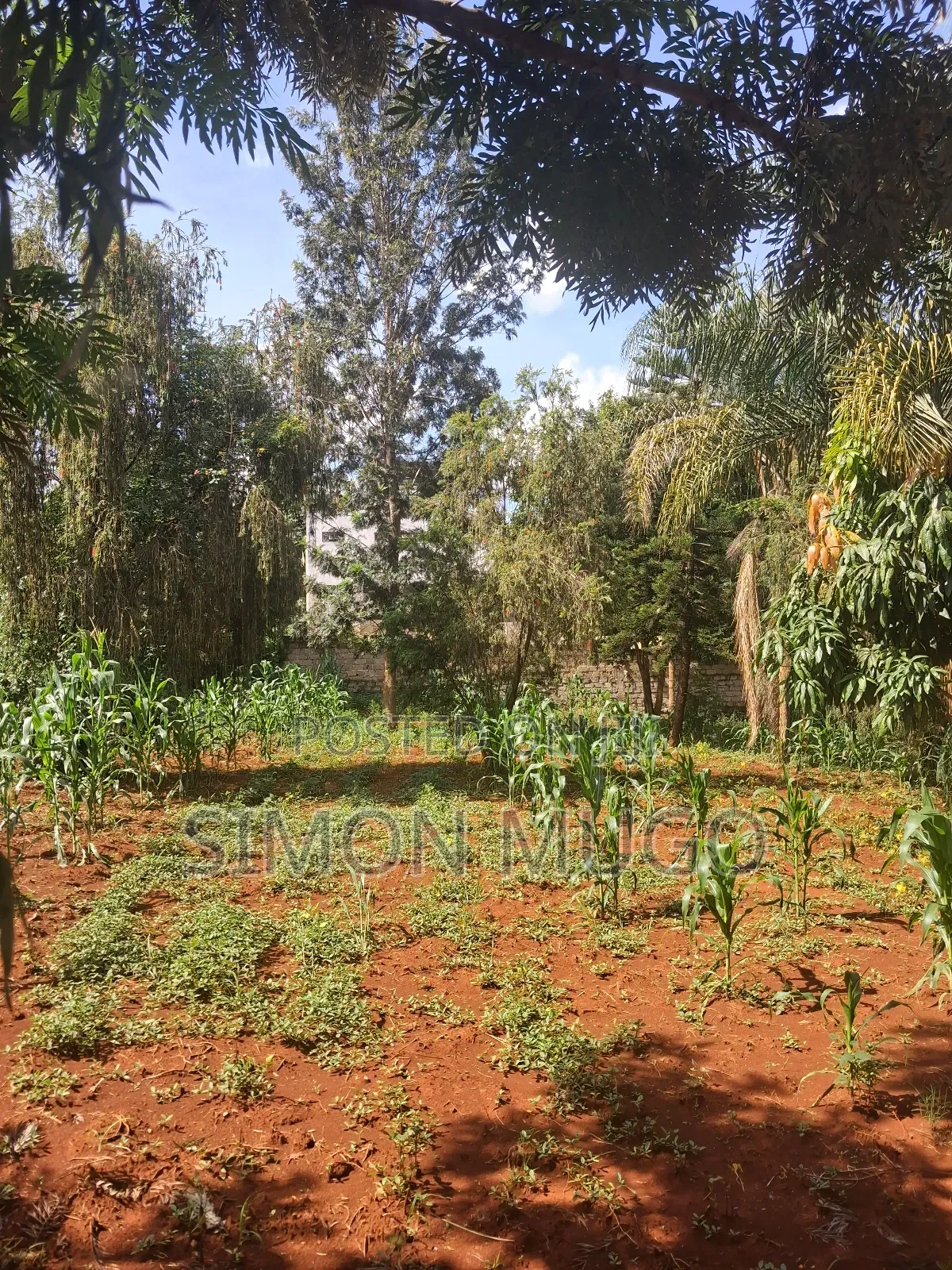 Golden Palm Estate Kiambu Secure Fully Serviced 1/4ac in Gated Court