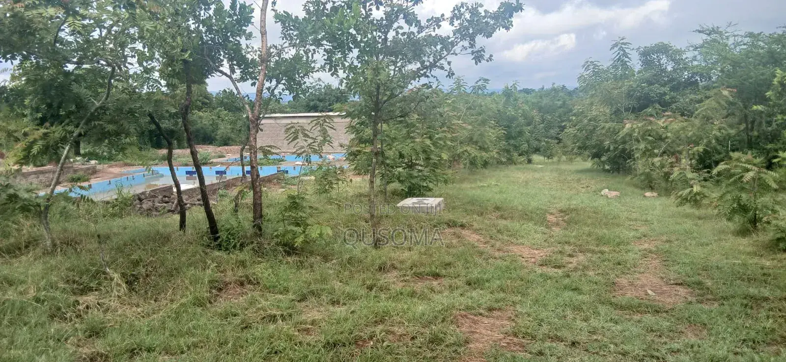 Prime Investment Opportunity: 2.9-Acre Institutional Hub in Mwea