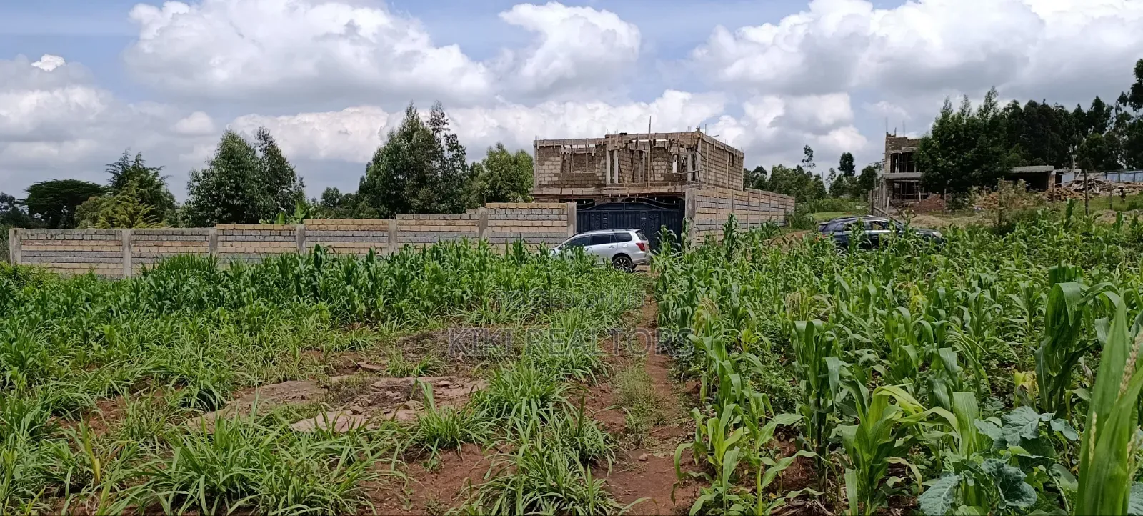 Kikuyu Plots 50x100fts Kamangu