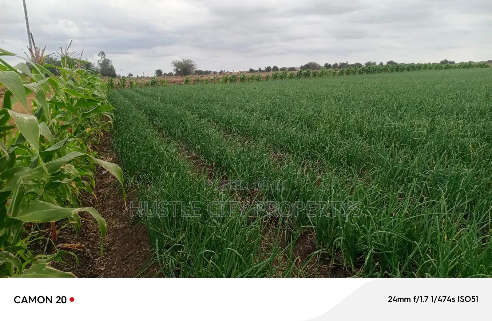 Farm for Sale in Isinya Along Namanga Road
