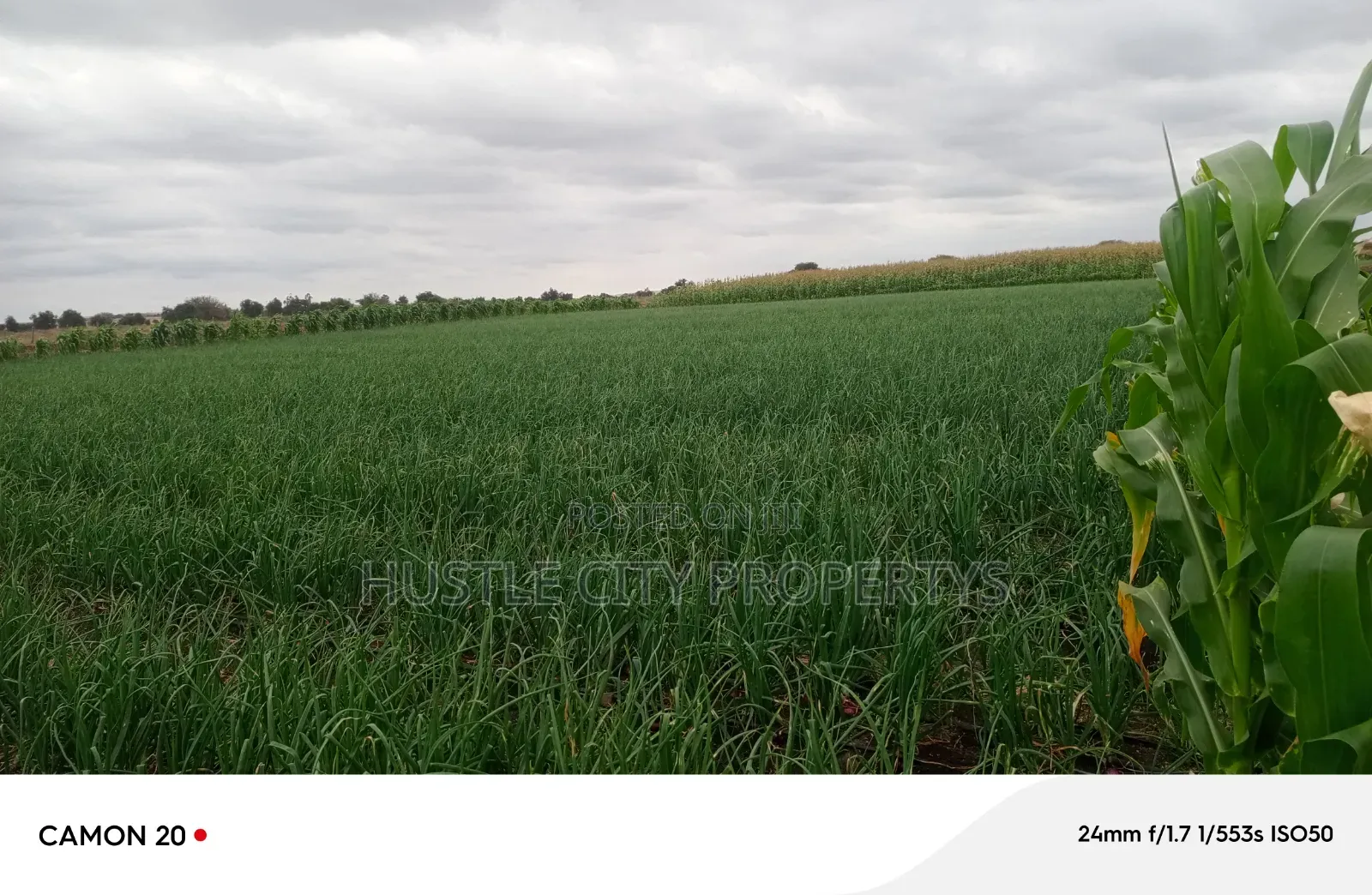 Farm for Sale in Isinya Along Namanga Road