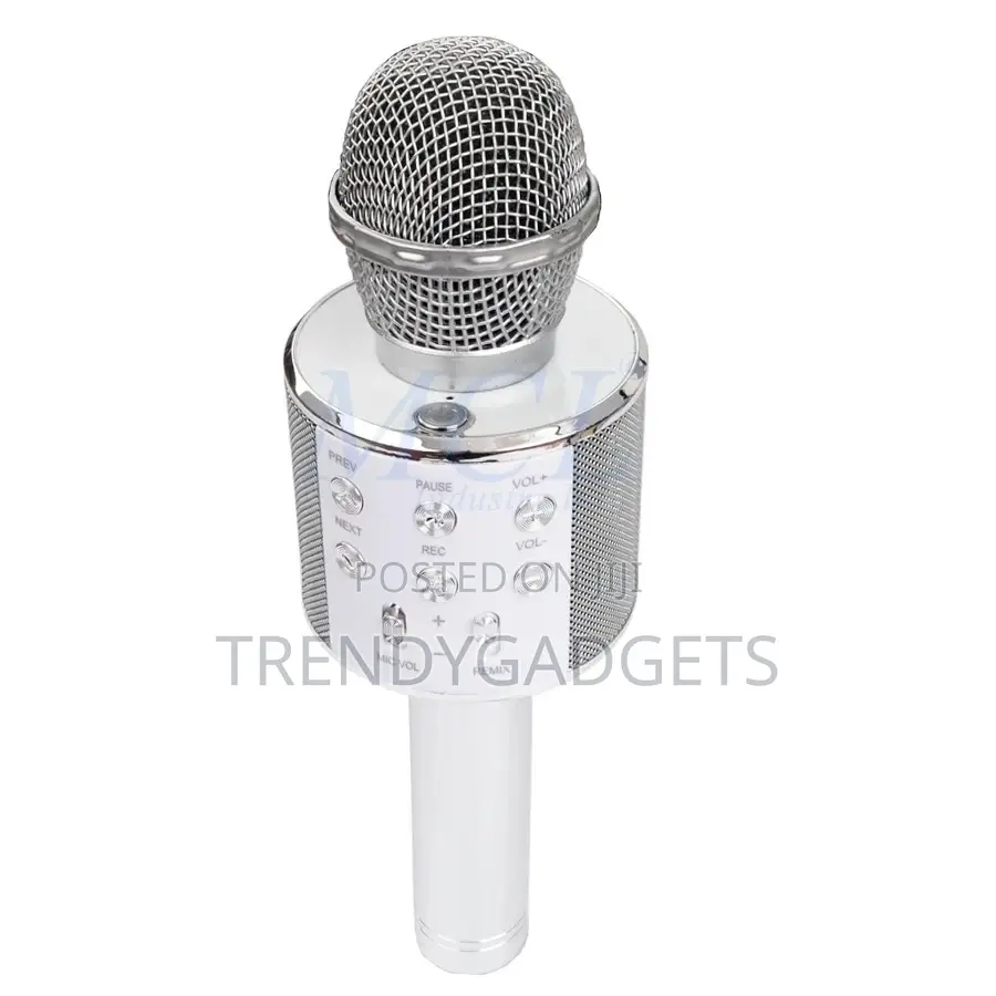 Ws-858l 3-in-1 Karaoke Mic Echo Speaker Party Microphone