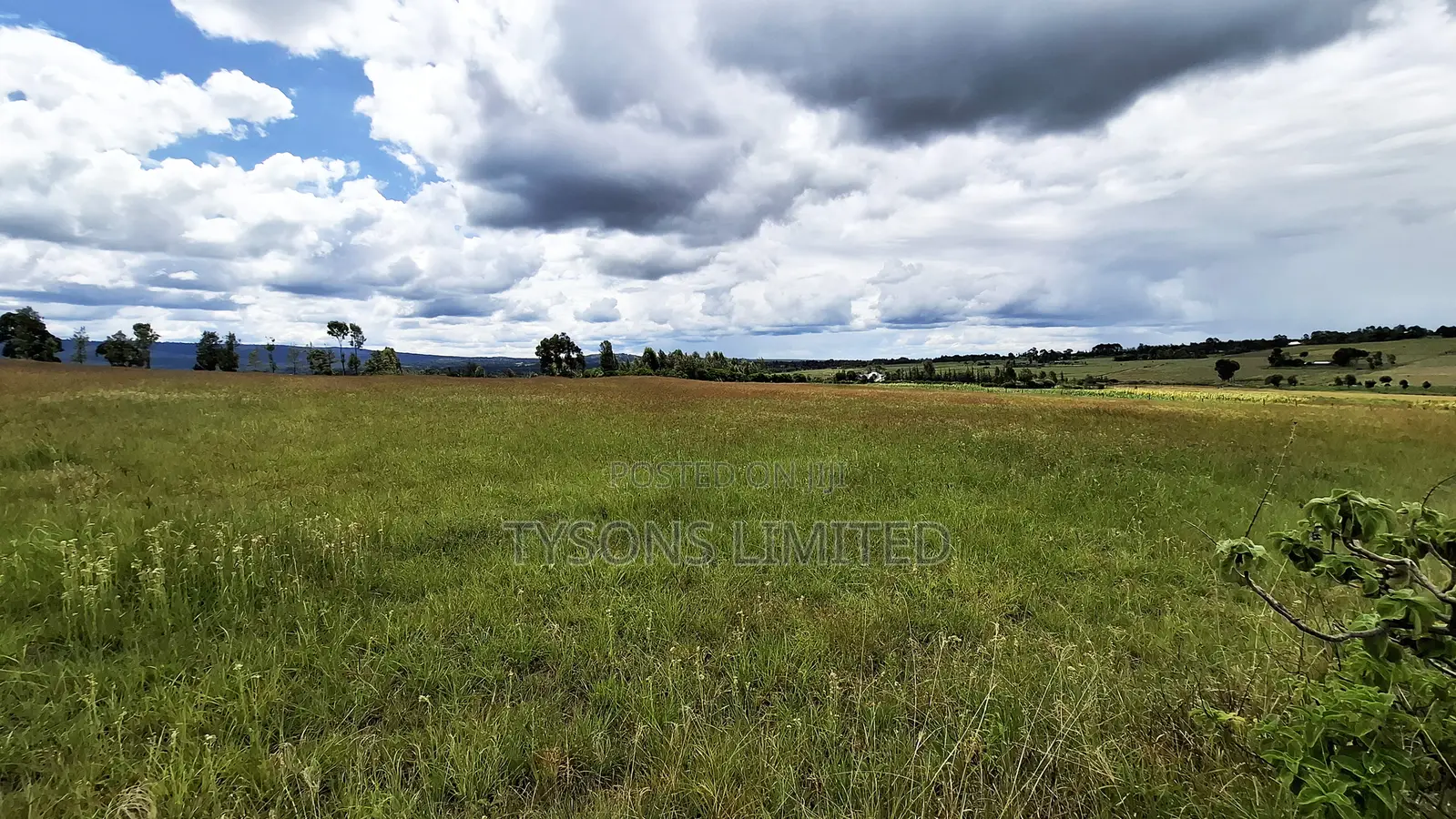 7.71 Acres for Sale in Ndaragwa, Nyandarua County