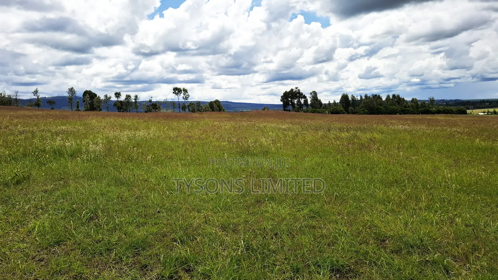 7.71 Acres for Sale in Ndaragwa, Nyandarua County