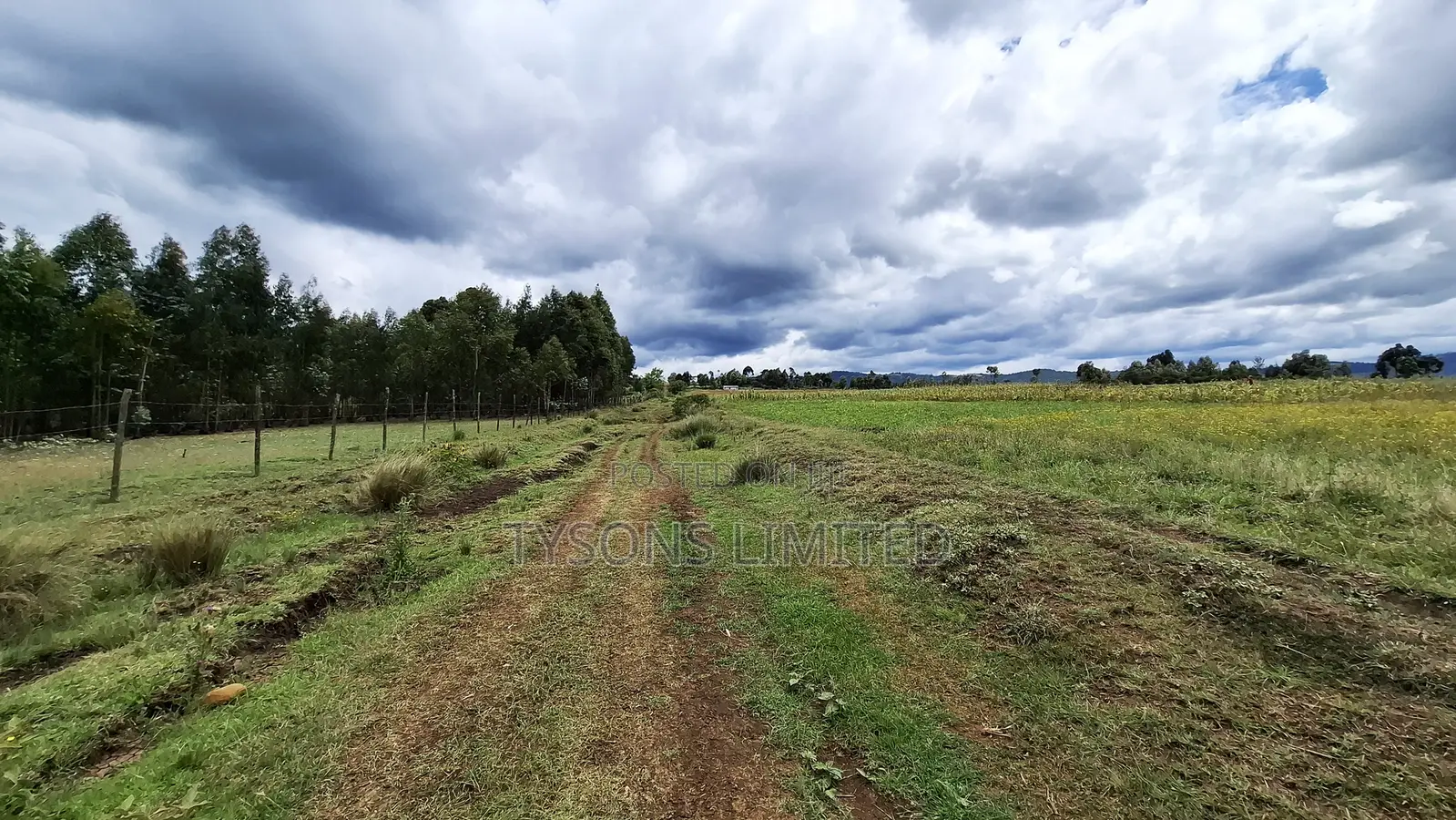 7.71 Acres for Sale in Ndaragwa, Nyandarua County