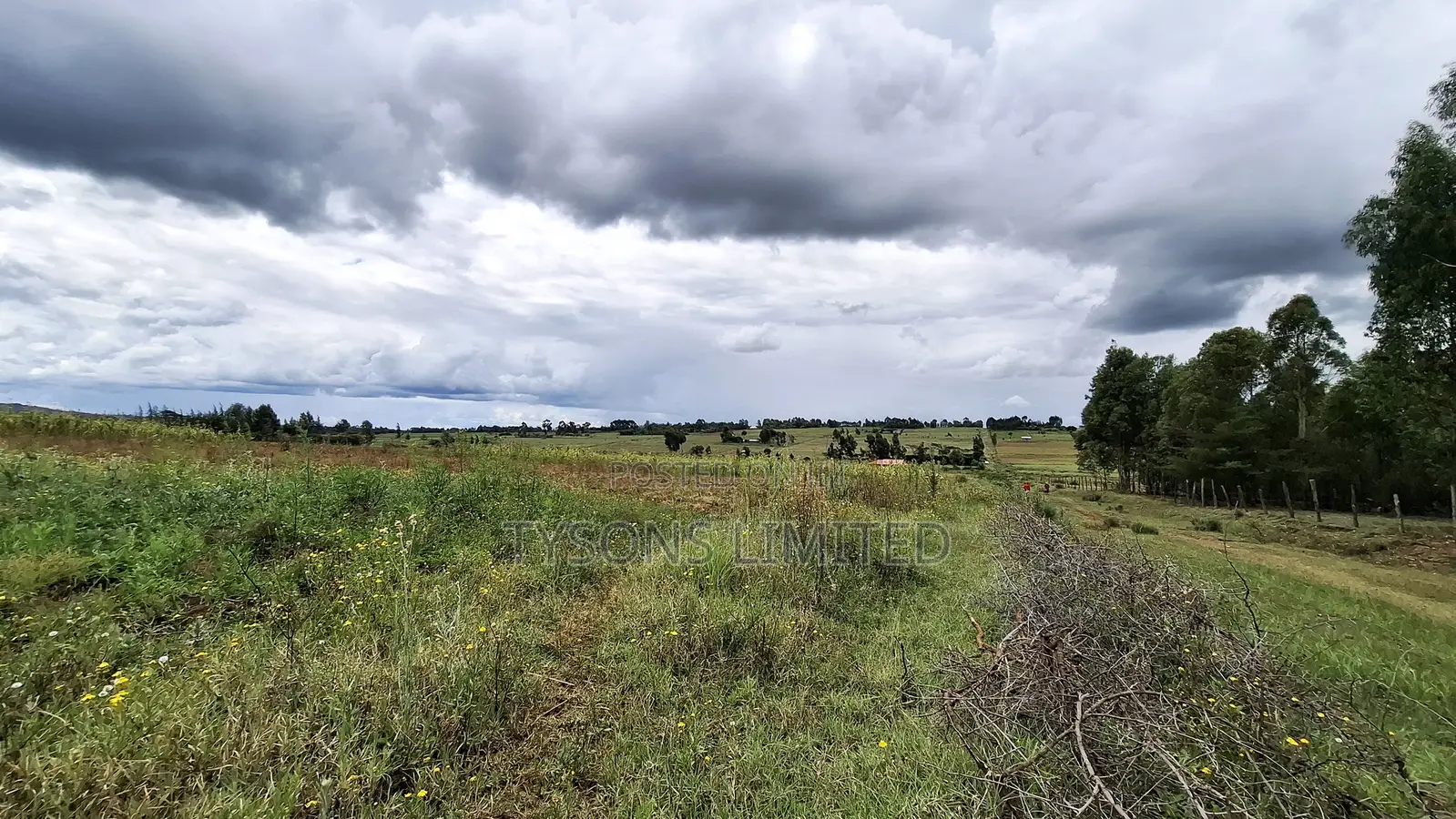 7.71 Acres for Sale in Ndaragwa, Nyandarua County