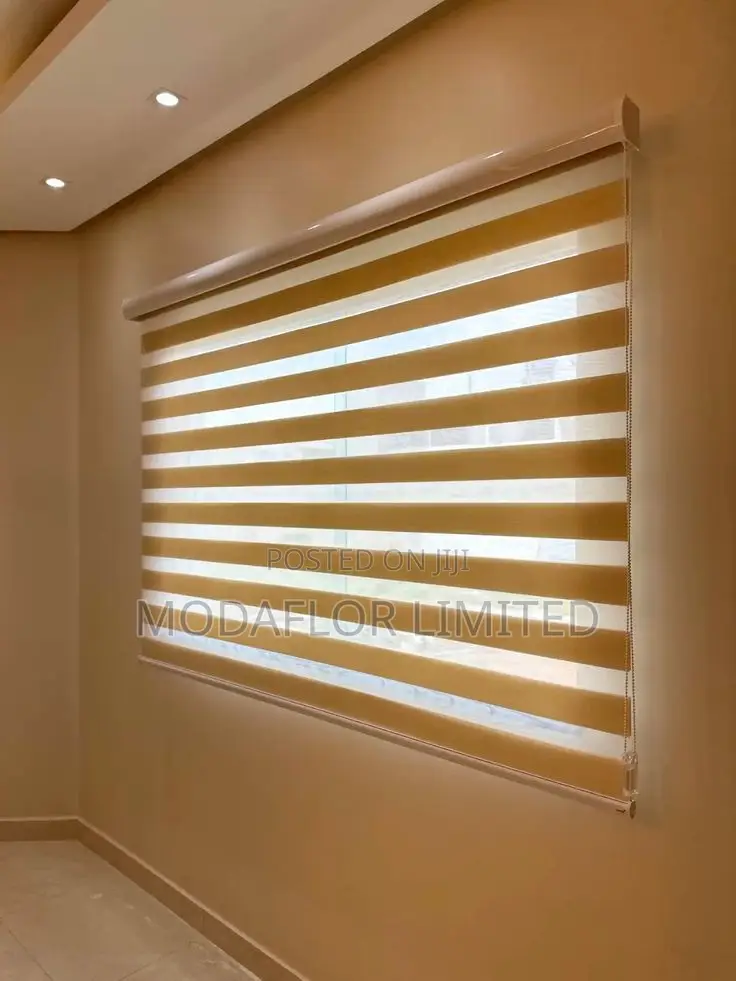 Zebra Roller Blinds for Modern Home and Office Windows