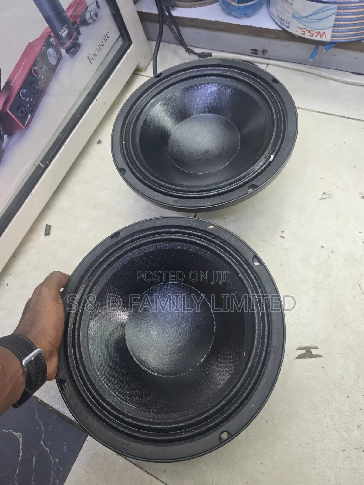 Derwel 10dn76 Neodymium 10 Inch Speaker