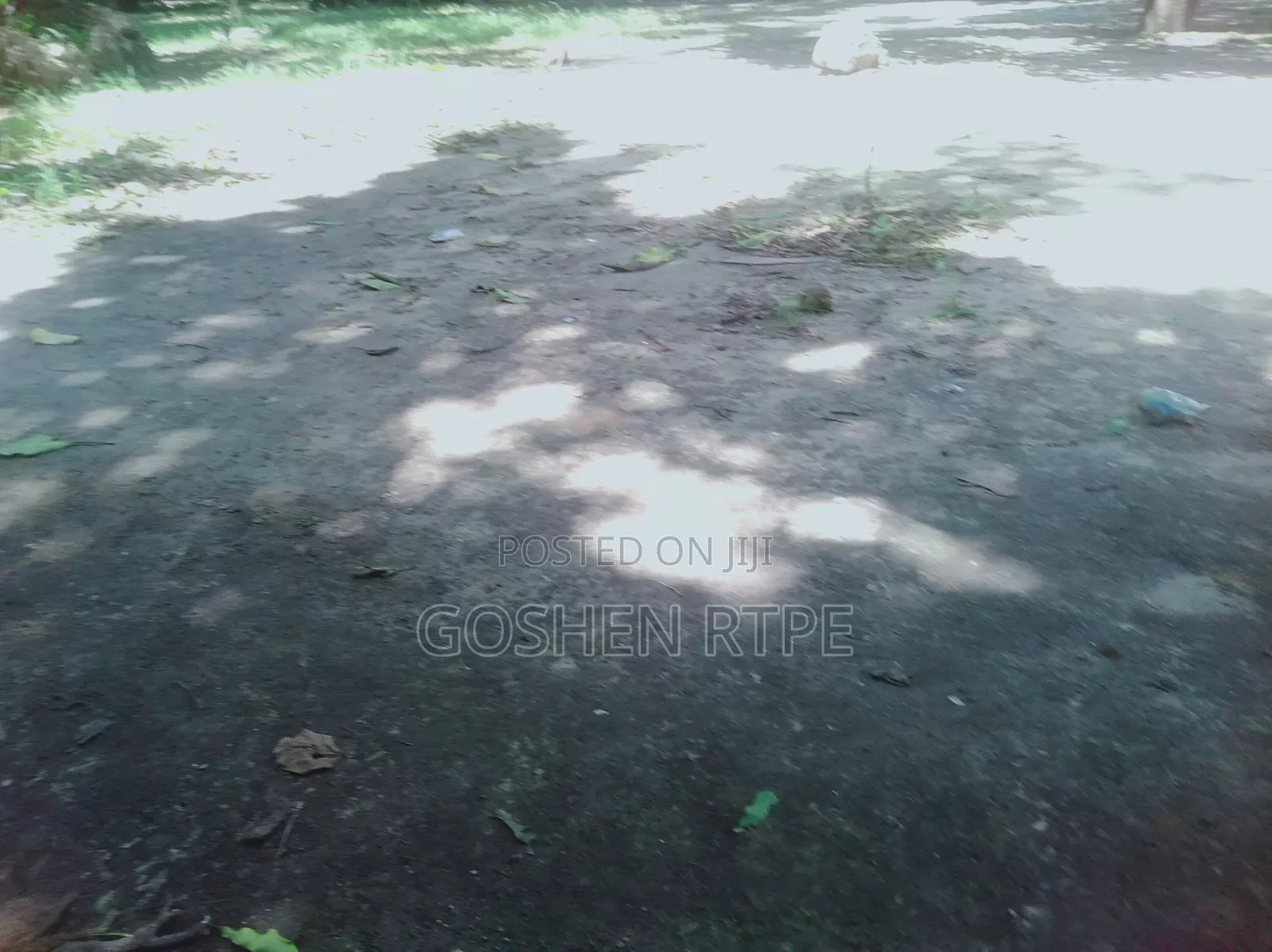 Prime 1/4 Acre Yard at to Let at Kisimani Mombasa Mainland