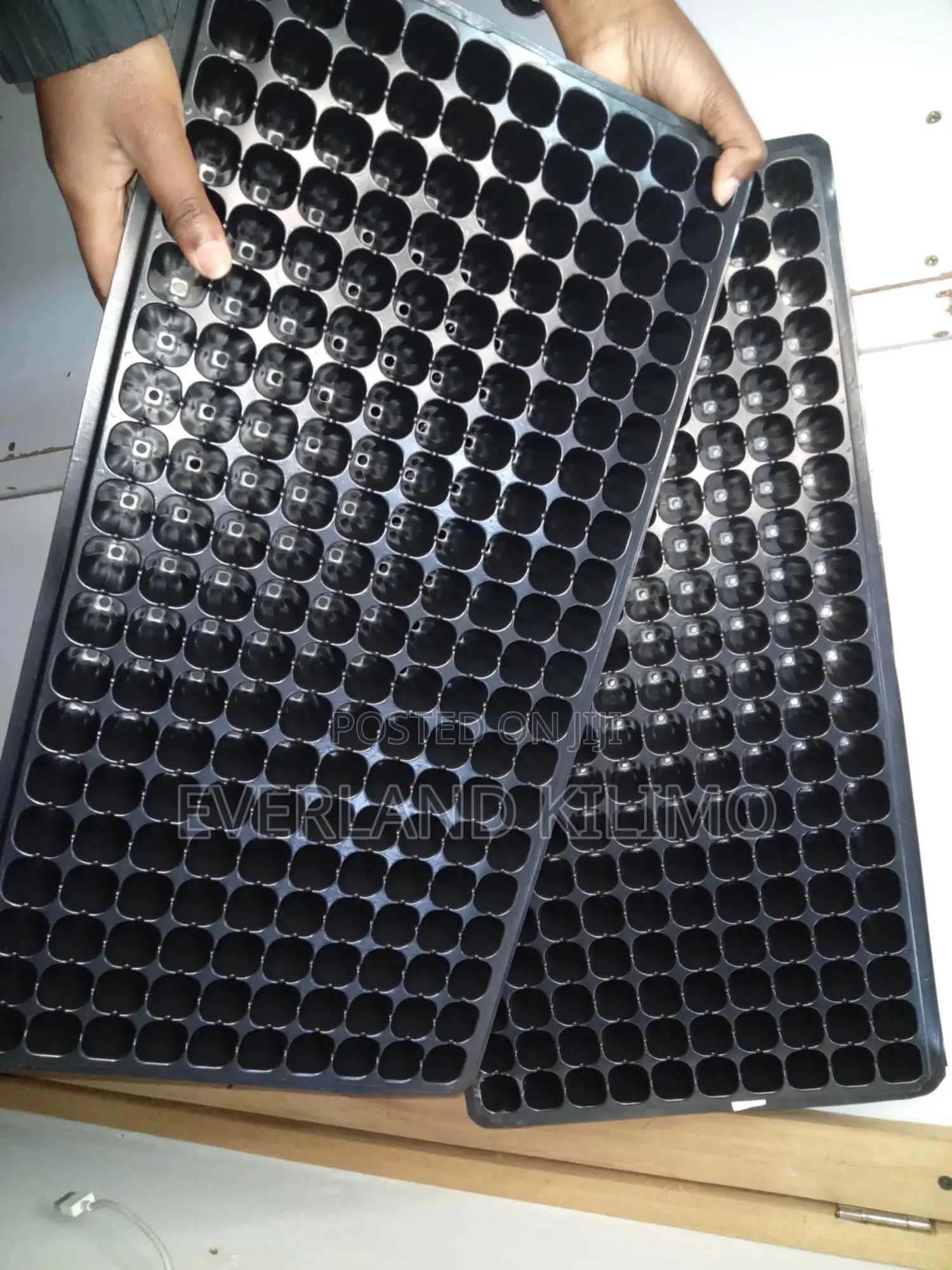 Seedling Germination Trays - All Sizes