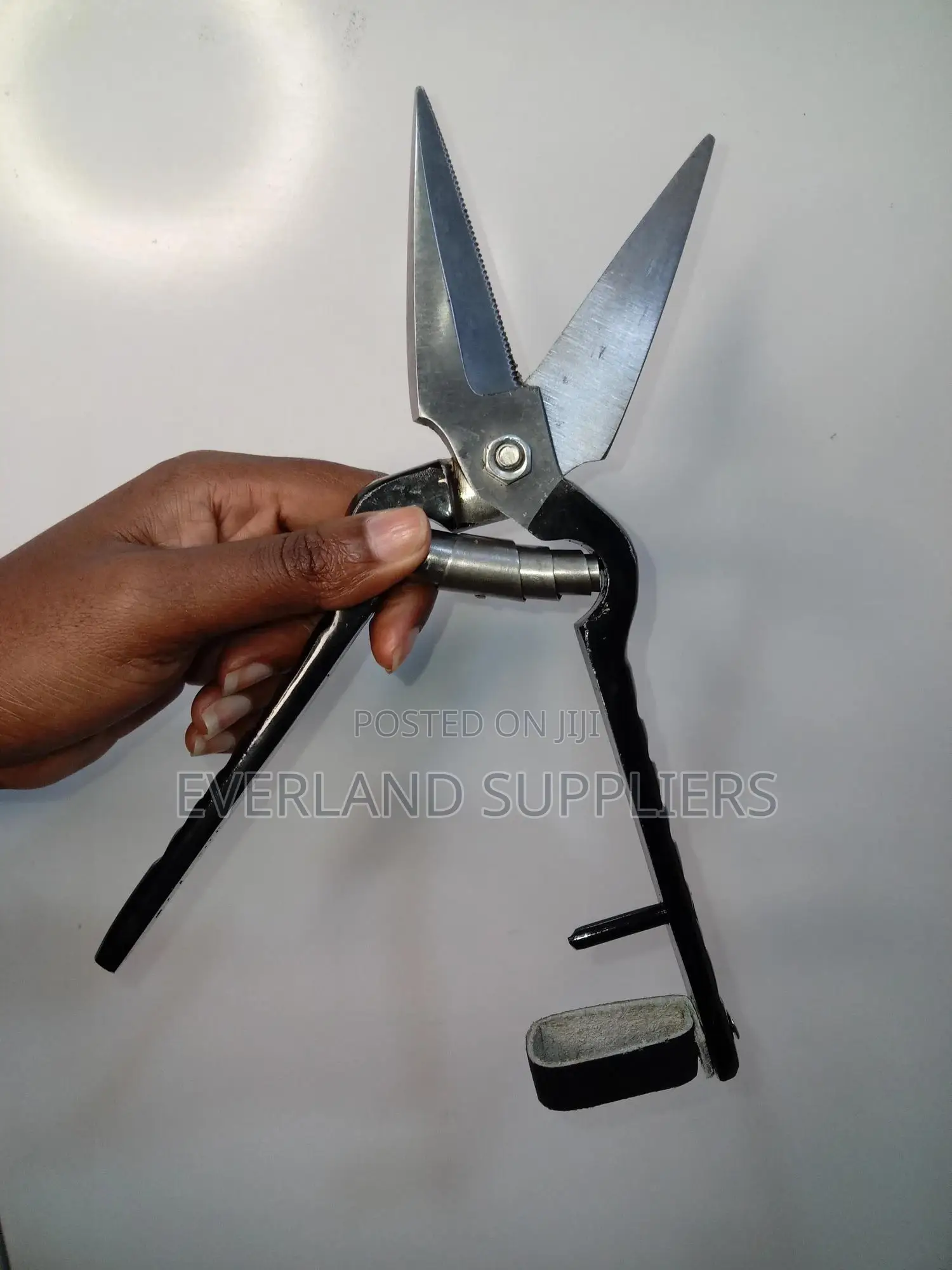 Hoof Shears