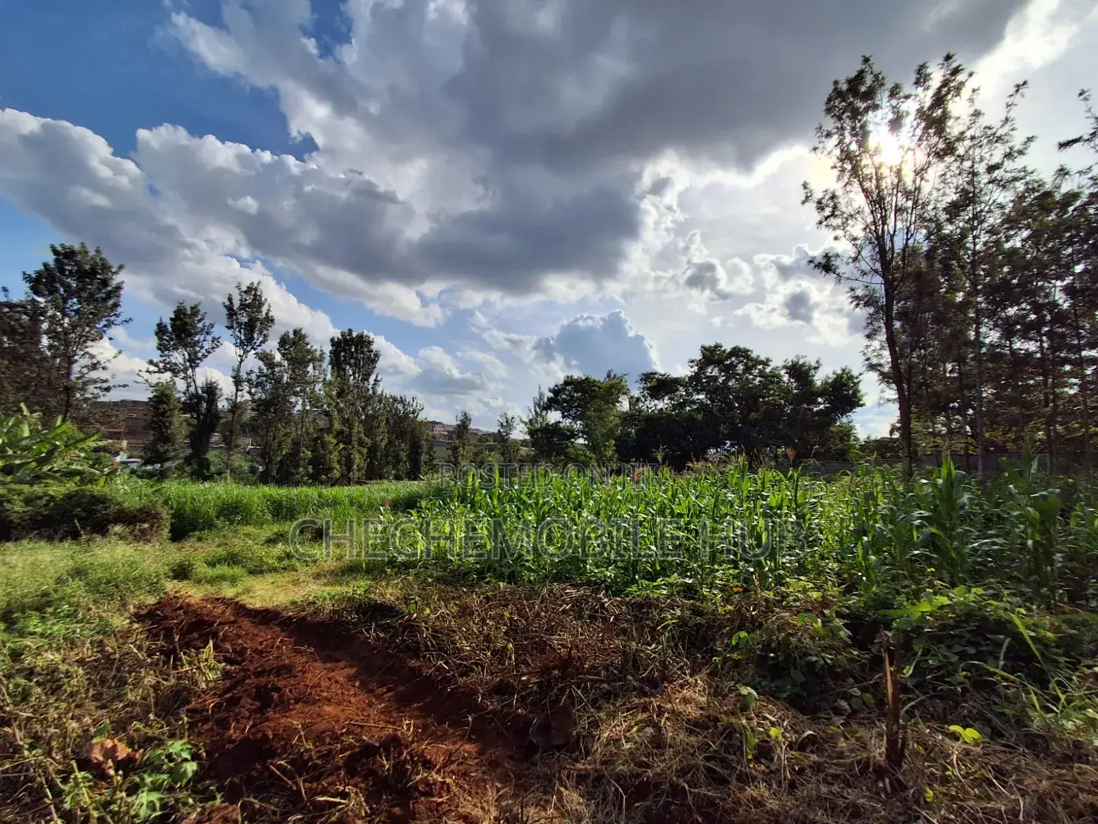 Plot for Sale 50* 100 in Maziwa ,Off Northern Bypass 200m From Tarmac