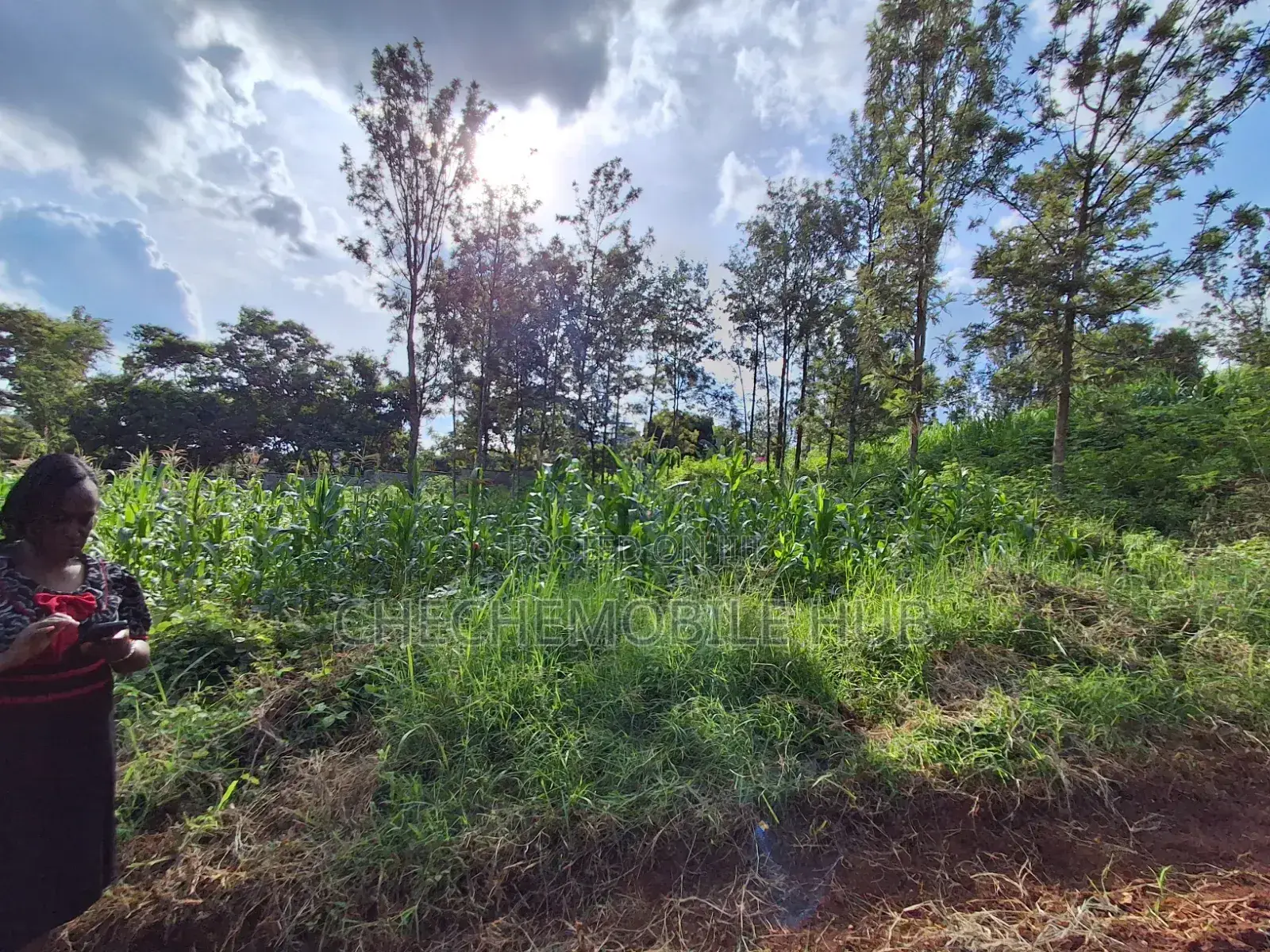 Plot for Sale 50* 100 in Maziwa ,Off Northern Bypass 200m From Tarmac