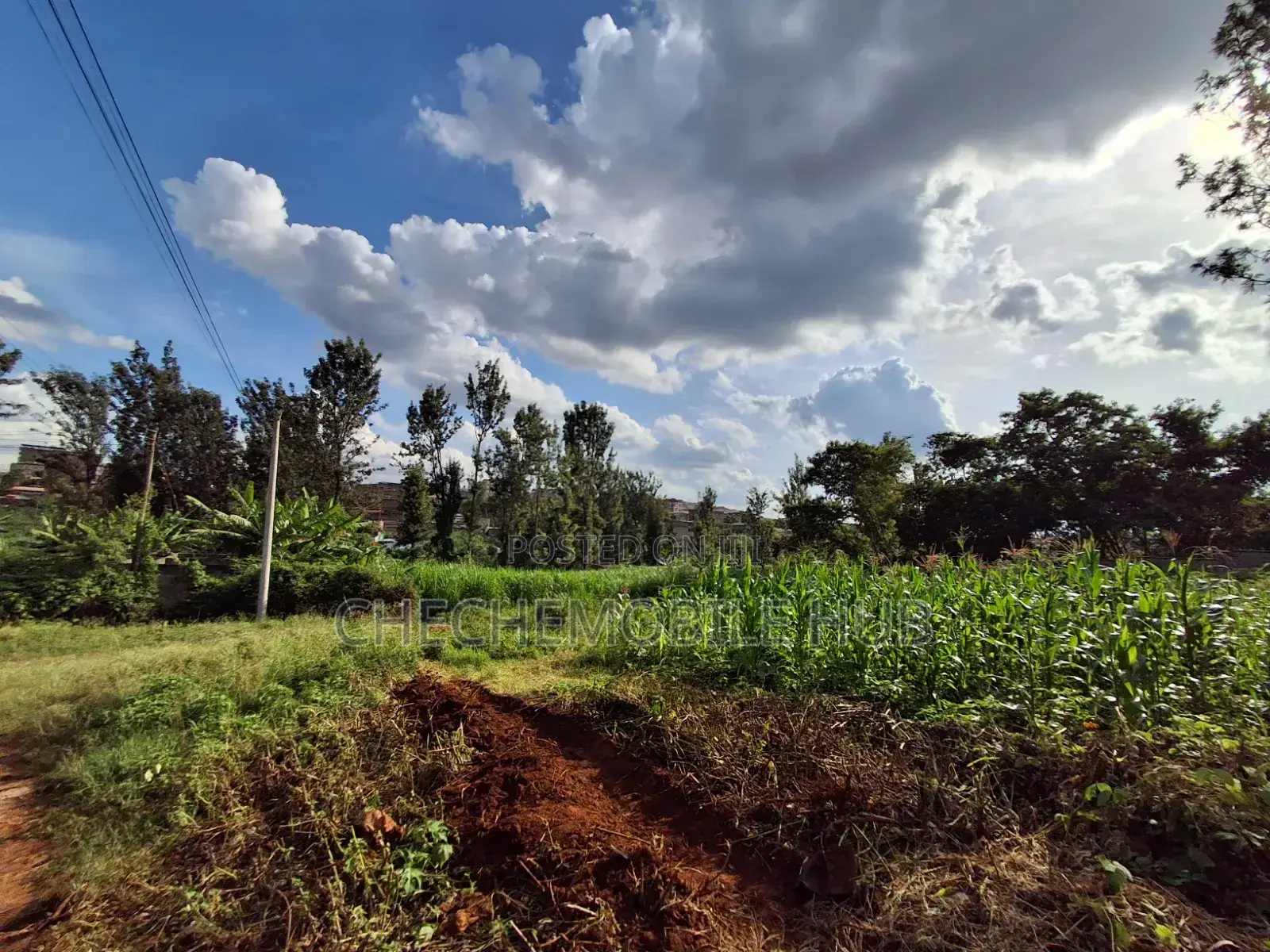 Plot for Sale 50* 100 in Maziwa ,Off Northern Bypass 200m From Tarmac
