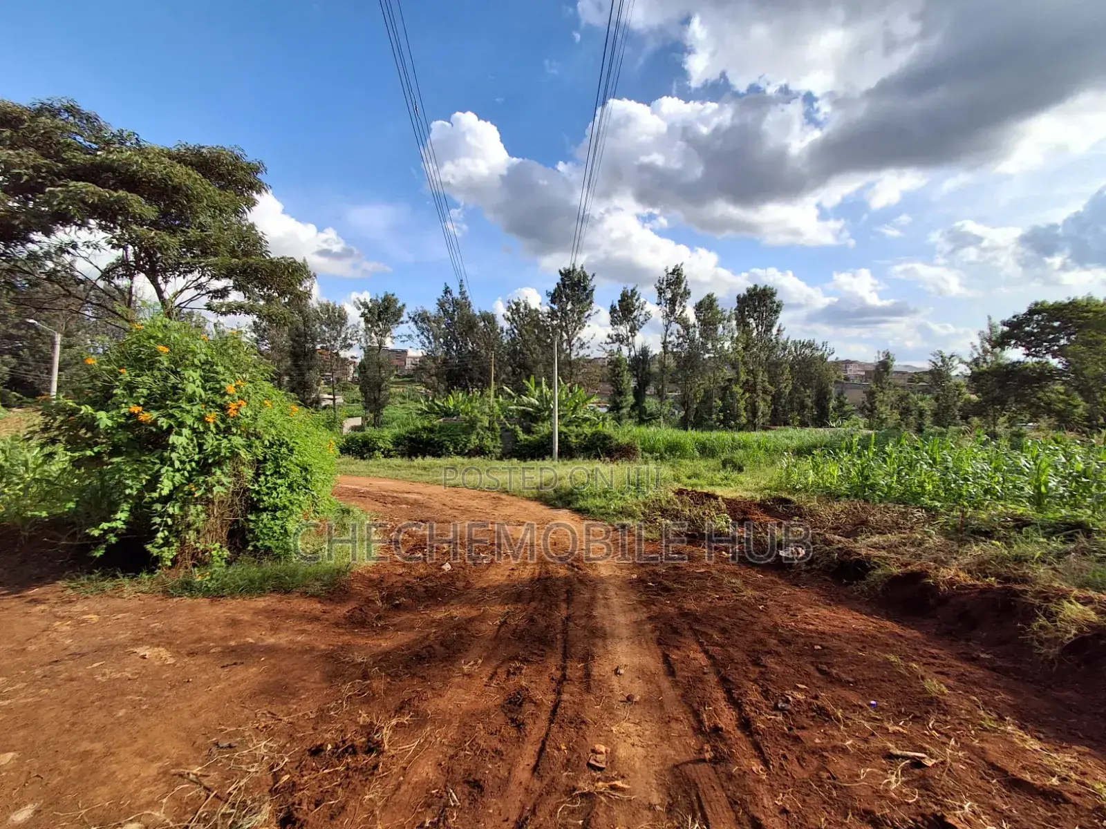 Plot for Sale 50* 100 in Maziwa ,Off Northern Bypass 200m From Tarmac