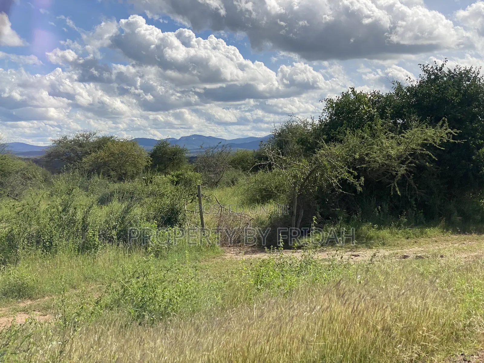 Land for Sale Mashuru,Kajiado