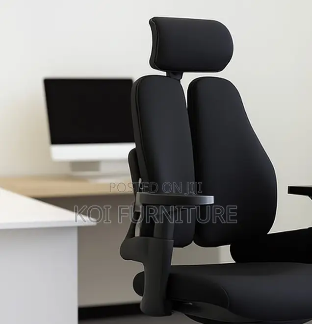 Office Chairs; Executive Office Seat With Dual Backrest