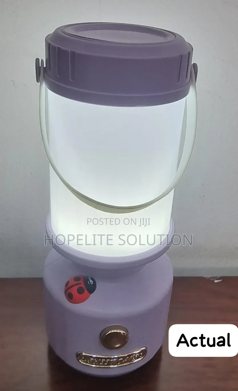 *Portable Sweet Days Rechargeable Camping Light