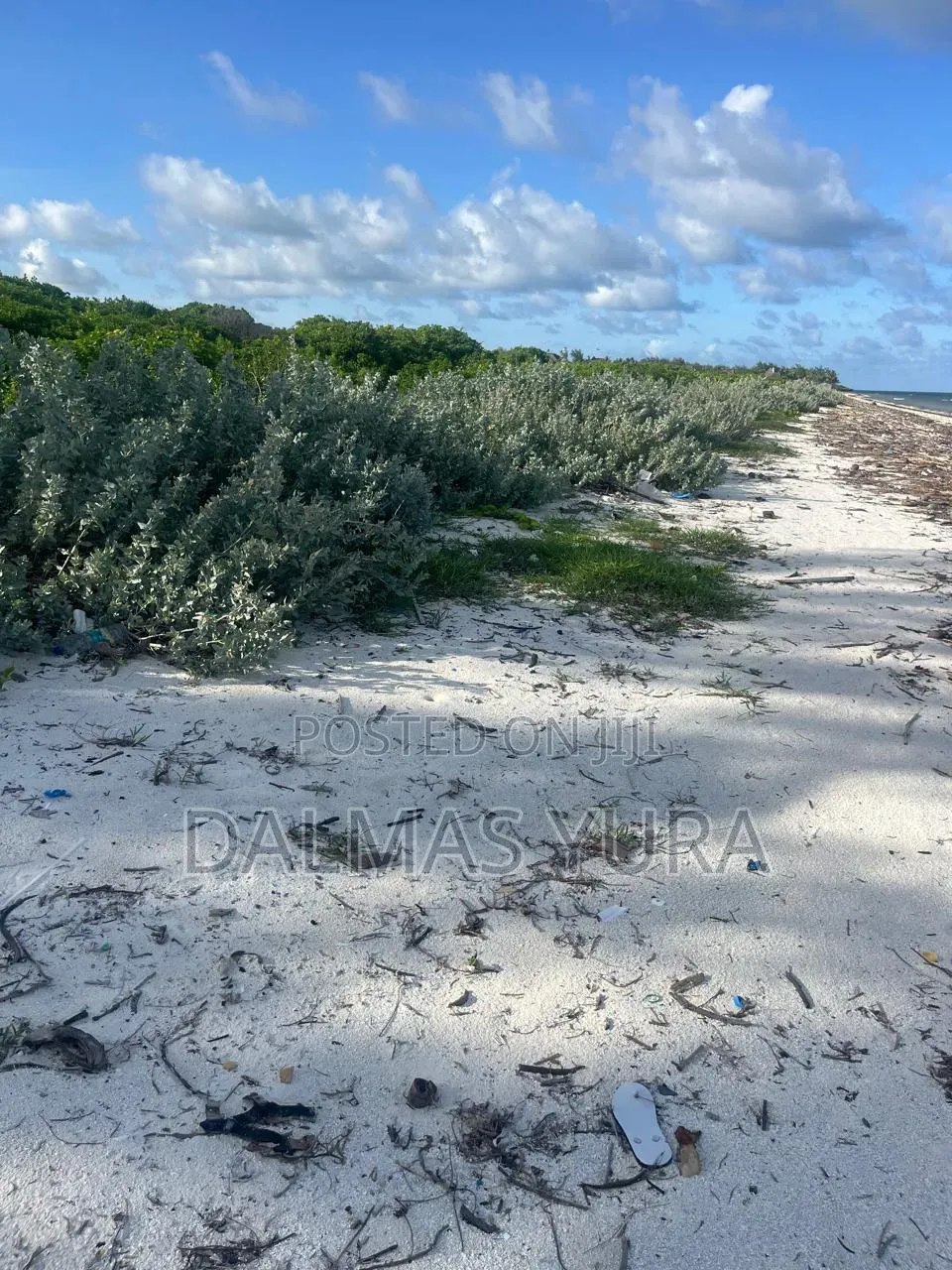 4 Acres Land in Watamu
