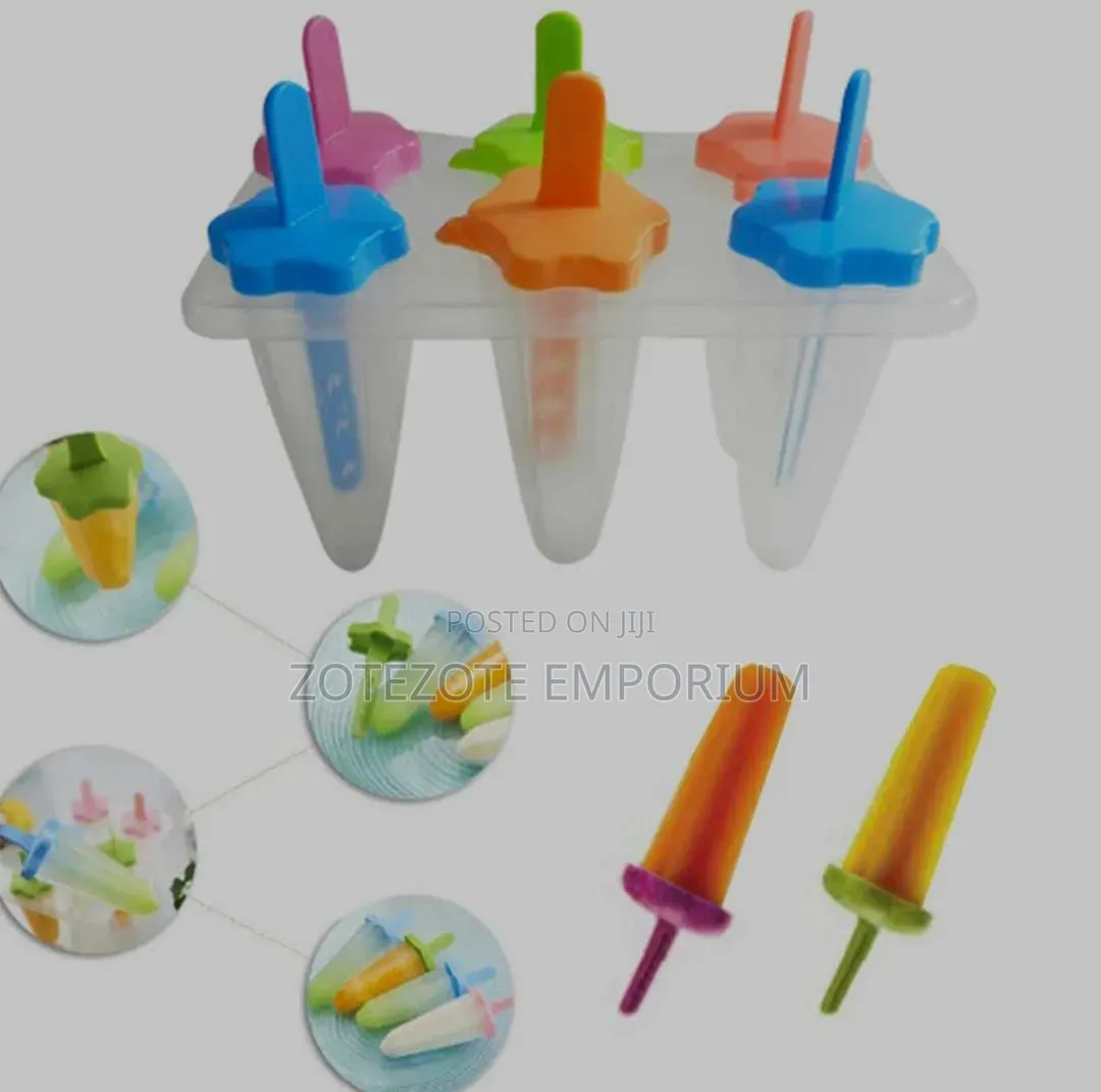 6 Piece Re-Usable Popsicle Mold