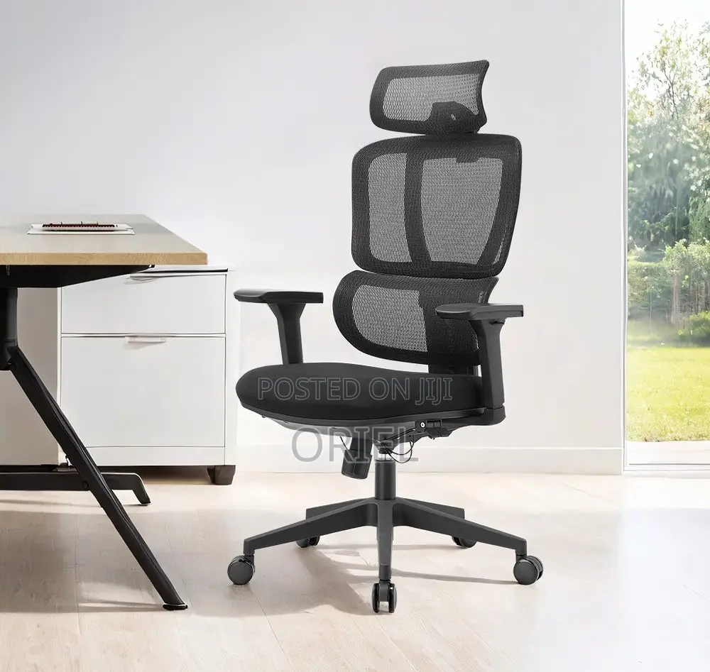 Modern Office Chair : Office Stylish Ergonomic Orthopedic Chair
