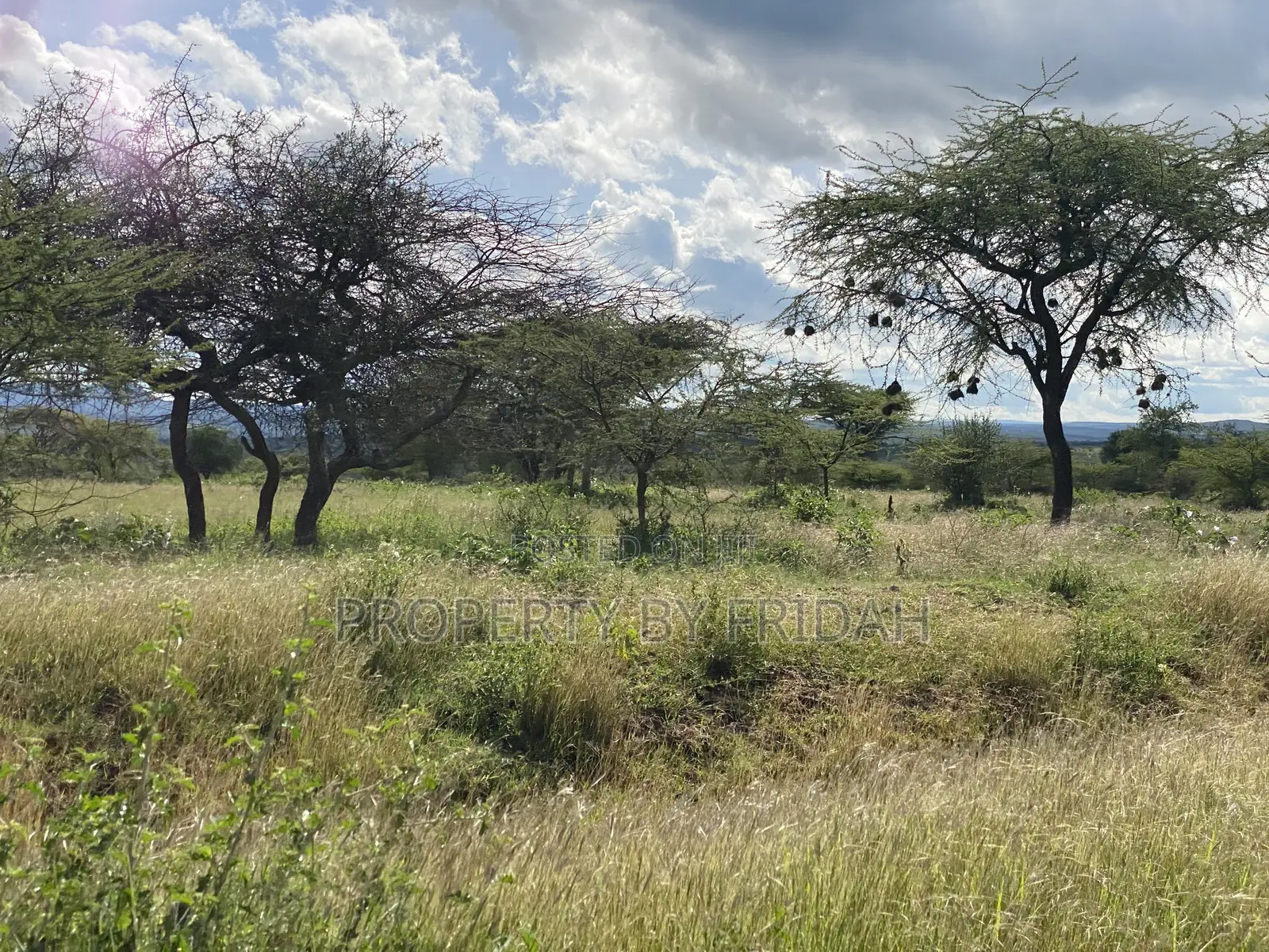 30acres for Sale(Imaroro-Mashuru)