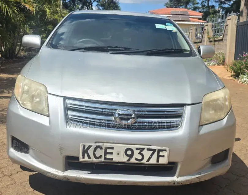 Toyota Axio 2009 Silver