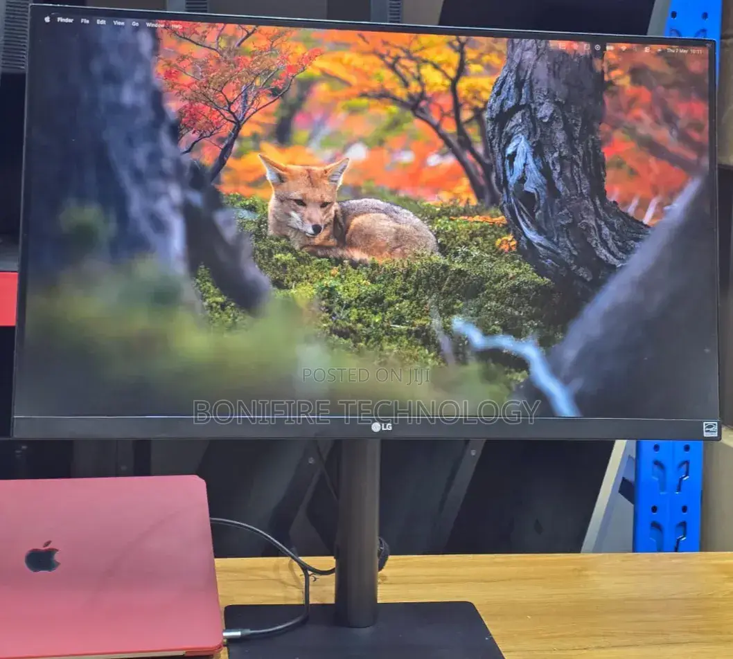 LG 27inch Monitor 
Model: 27bk85u-W
Size 27" Inch