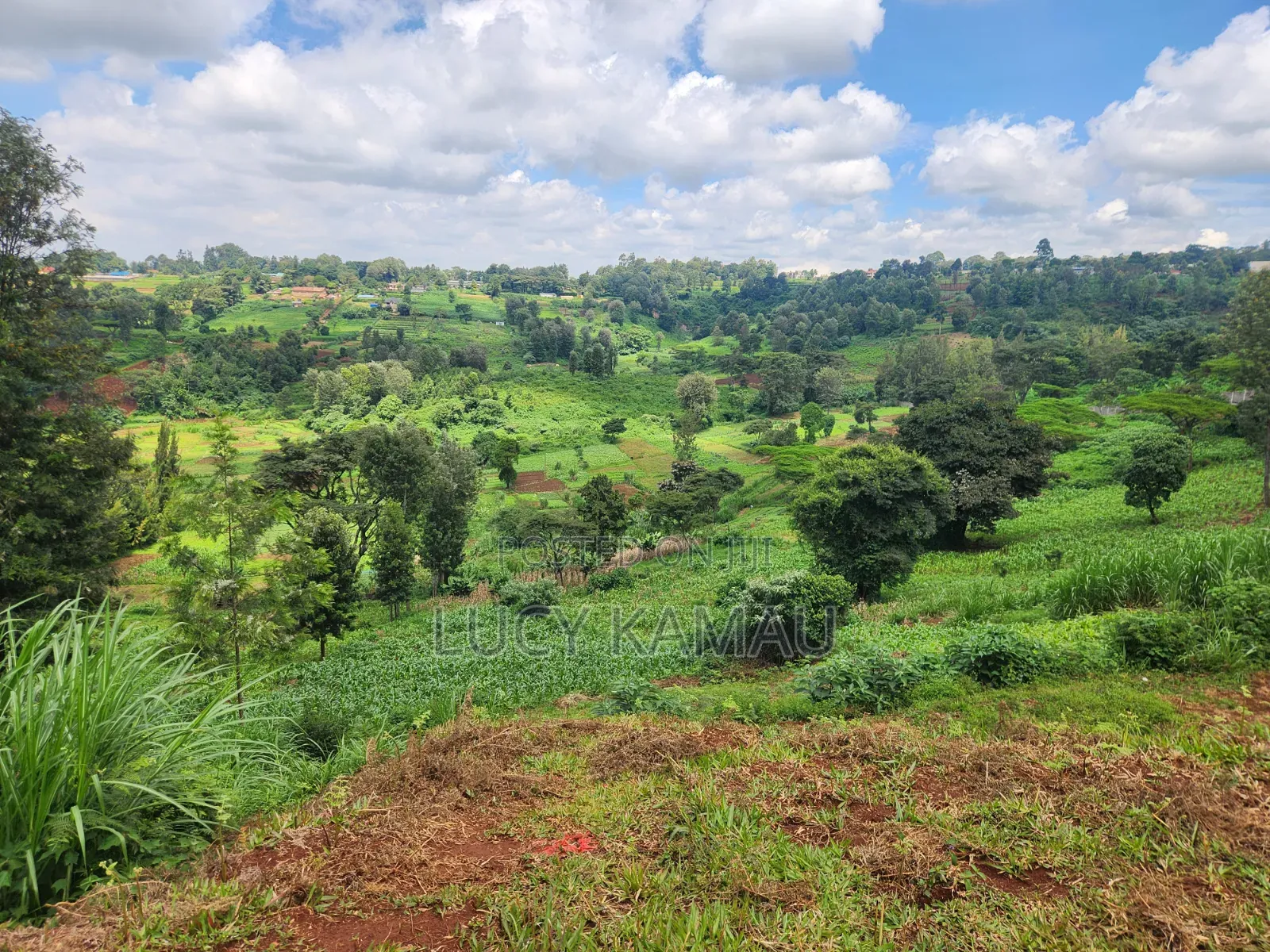 14 Acre Prime Land for Sale in Redhill
