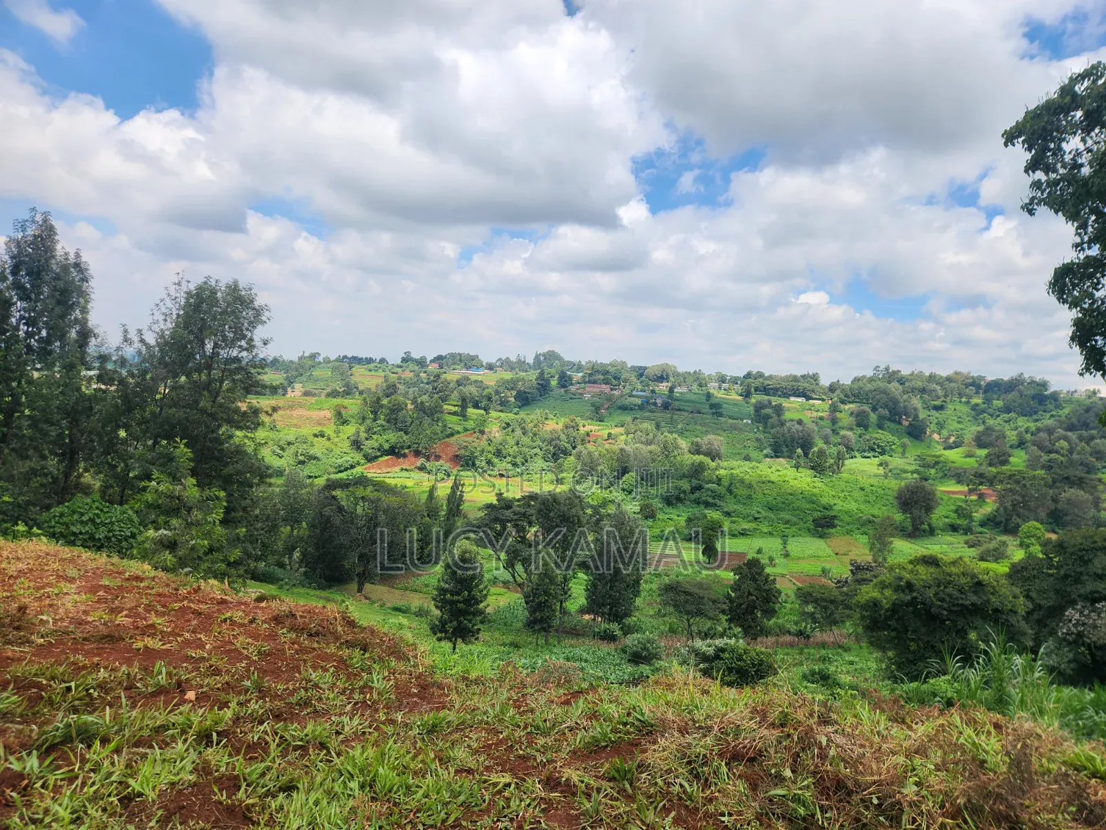 14 Acre Prime Land for Sale in Redhill