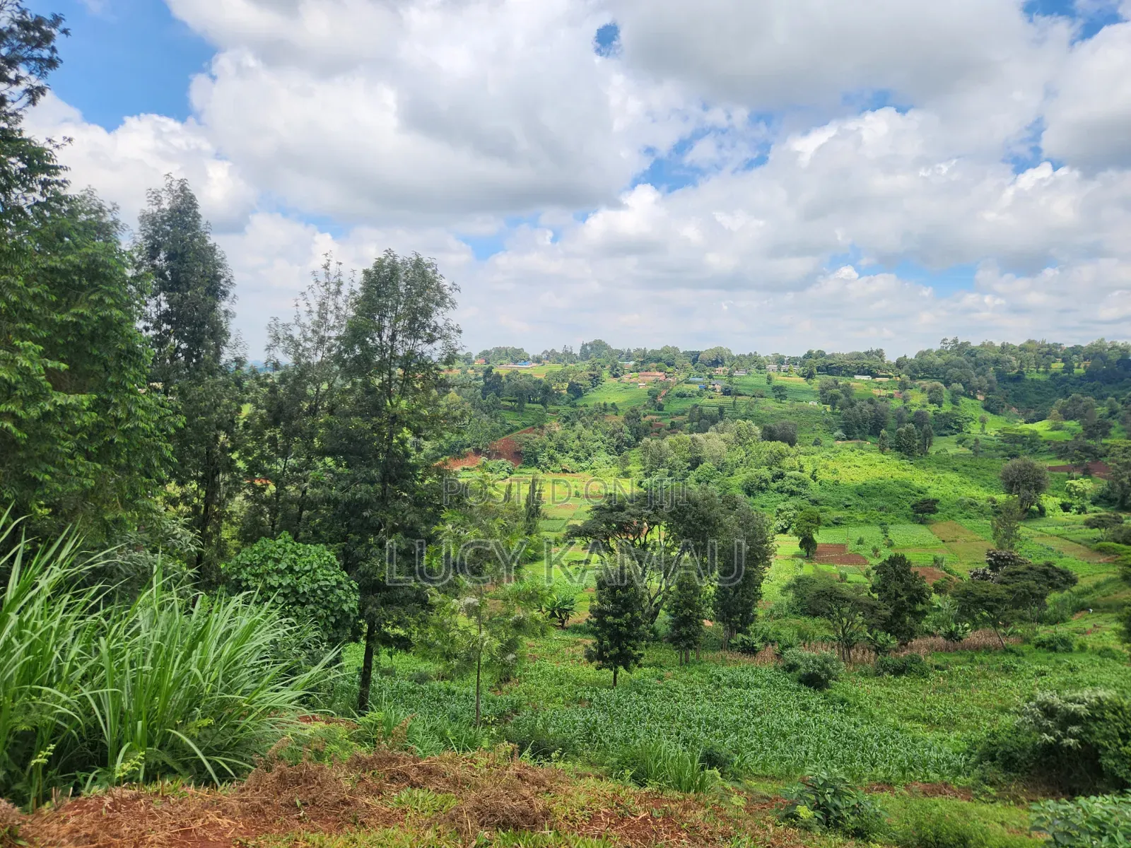 14 Acre Prime Land for Sale in Redhill