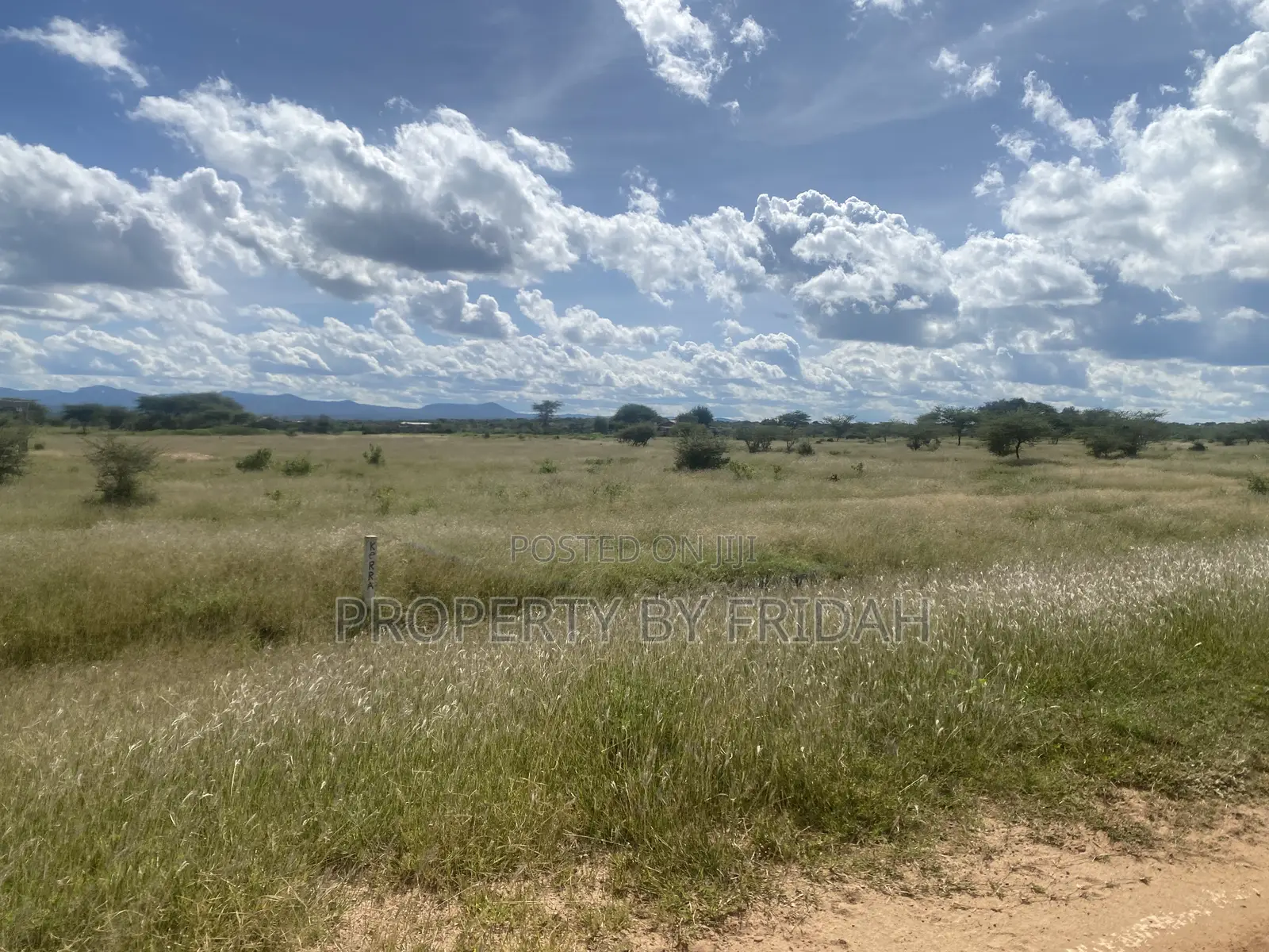 Land for Sale,Mashuru