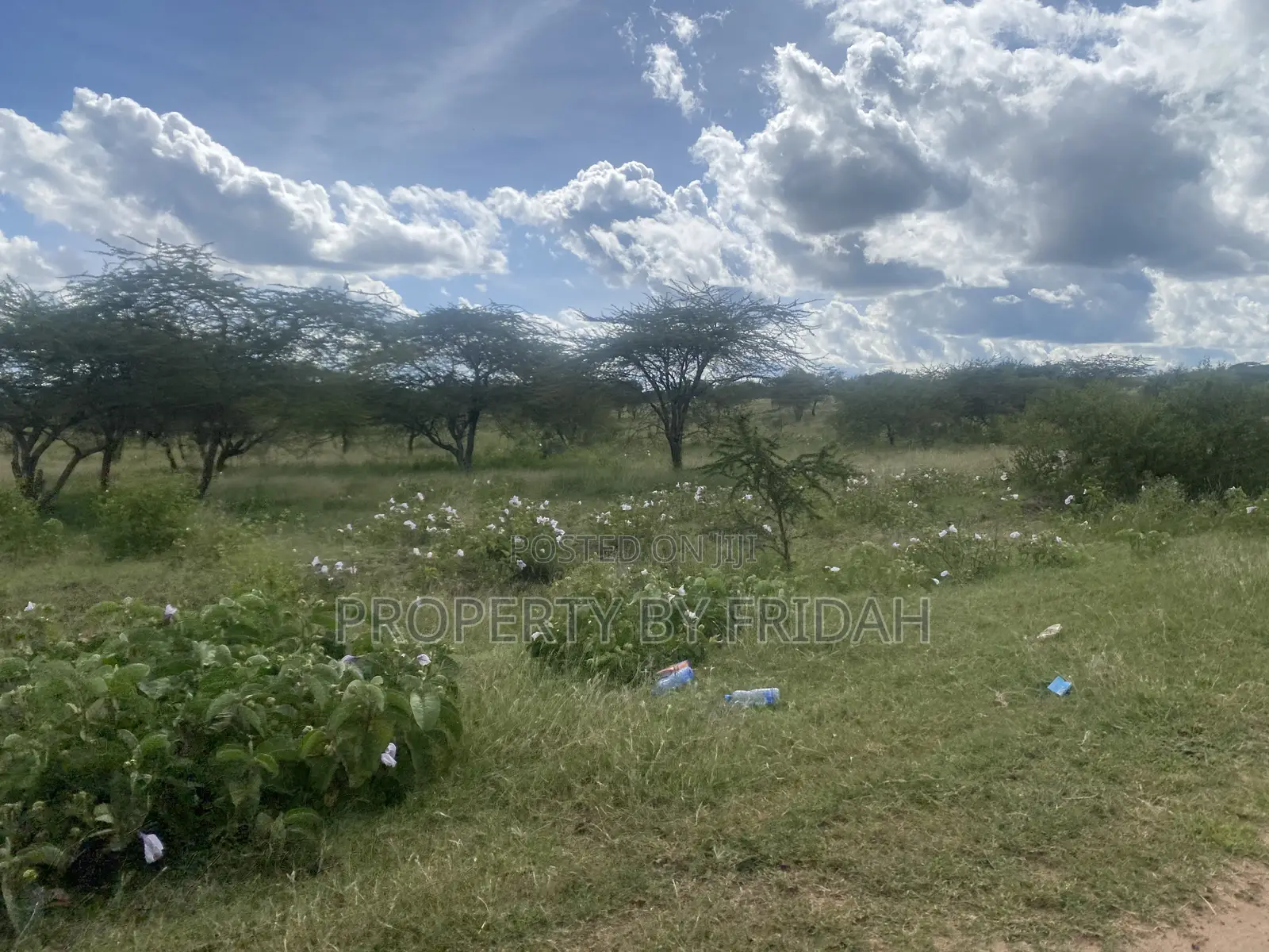 Acres for Sale in Mashuru Kajiado County