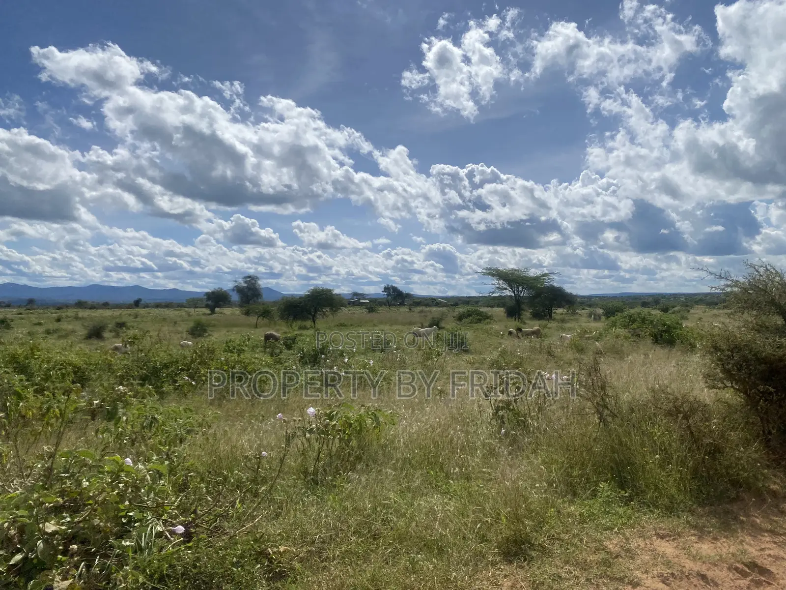 Acres for Sale in Mashuru Kajiado County