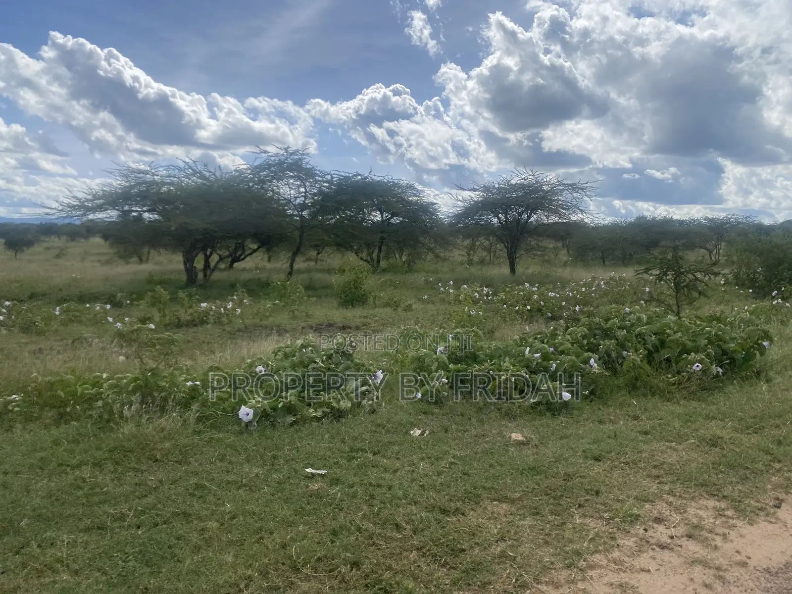 Acres for Sale in Mashuru Kajiado County