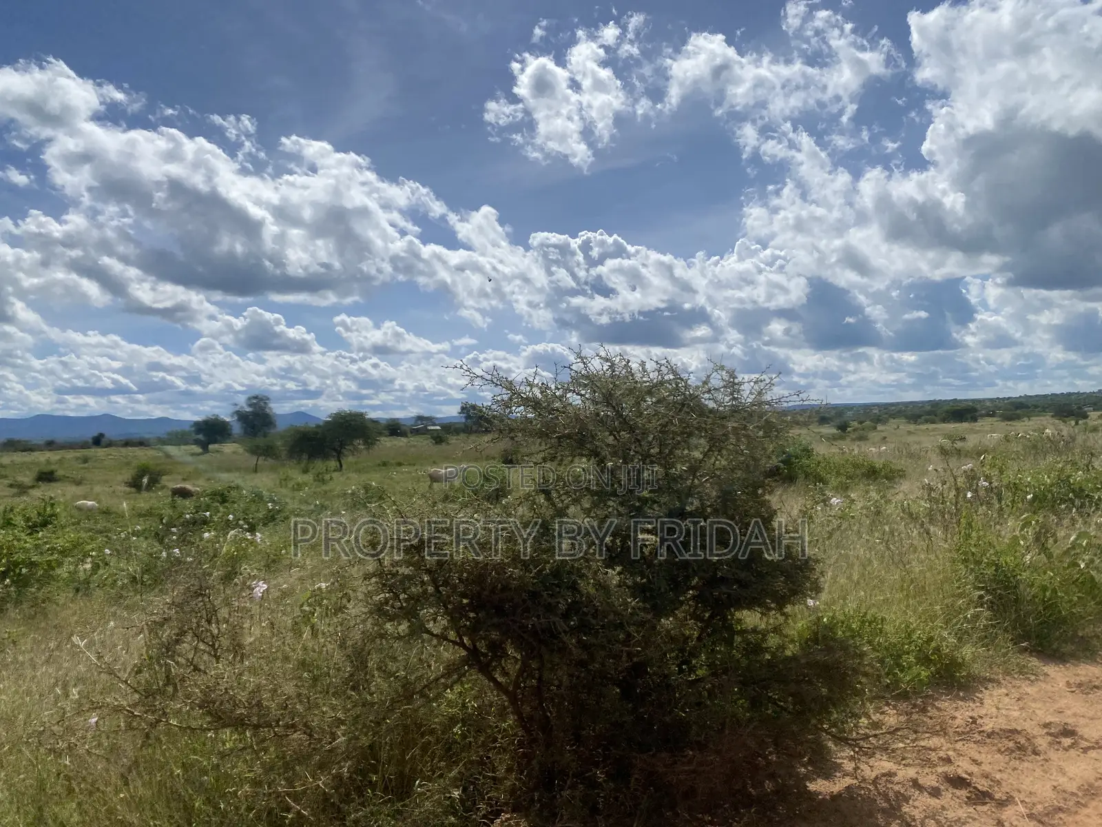 Acres for Sale in Mashuru Kajiado County