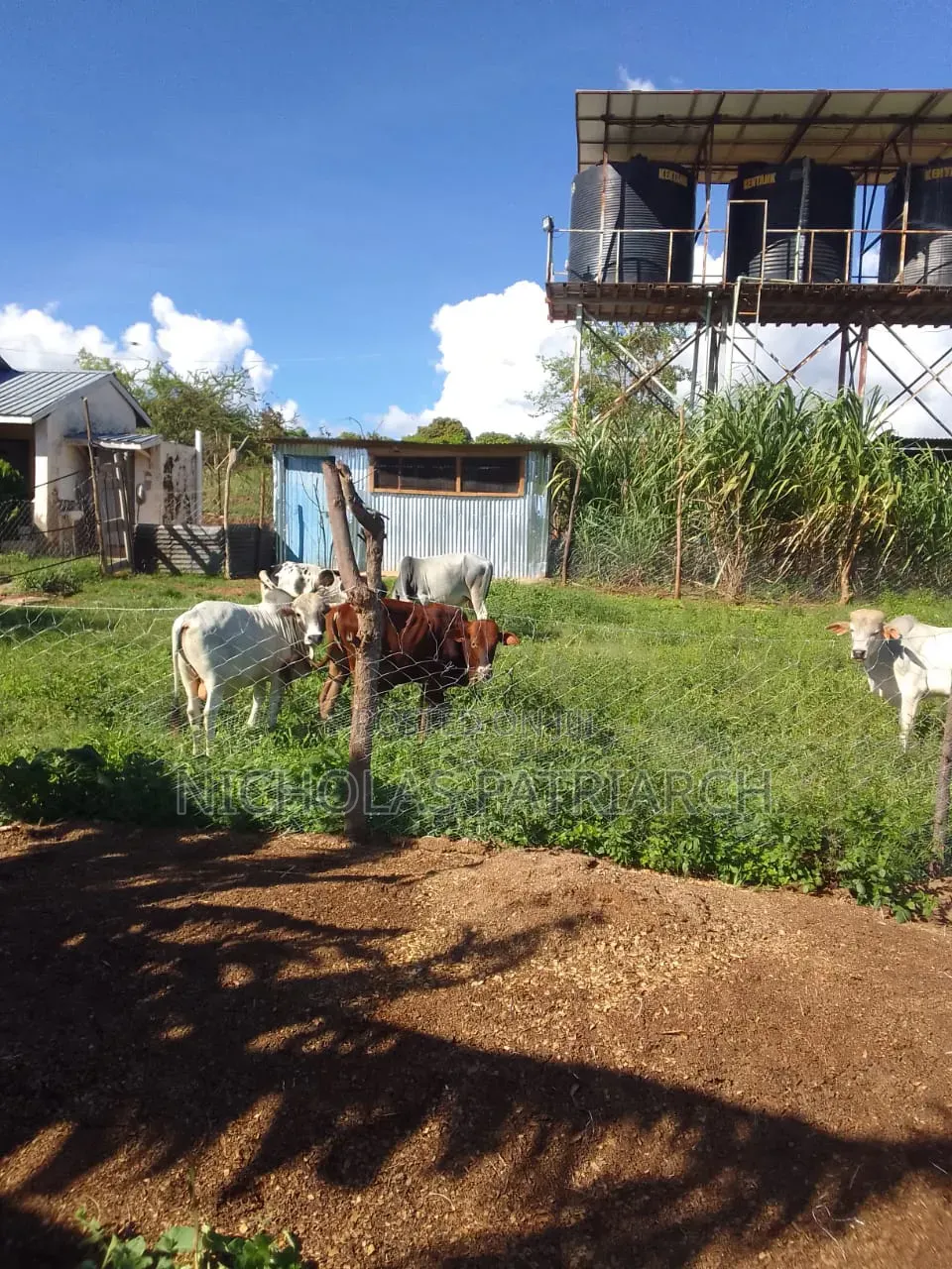 5 Acres Farm Machakos -Wamunyu Selling at 16m