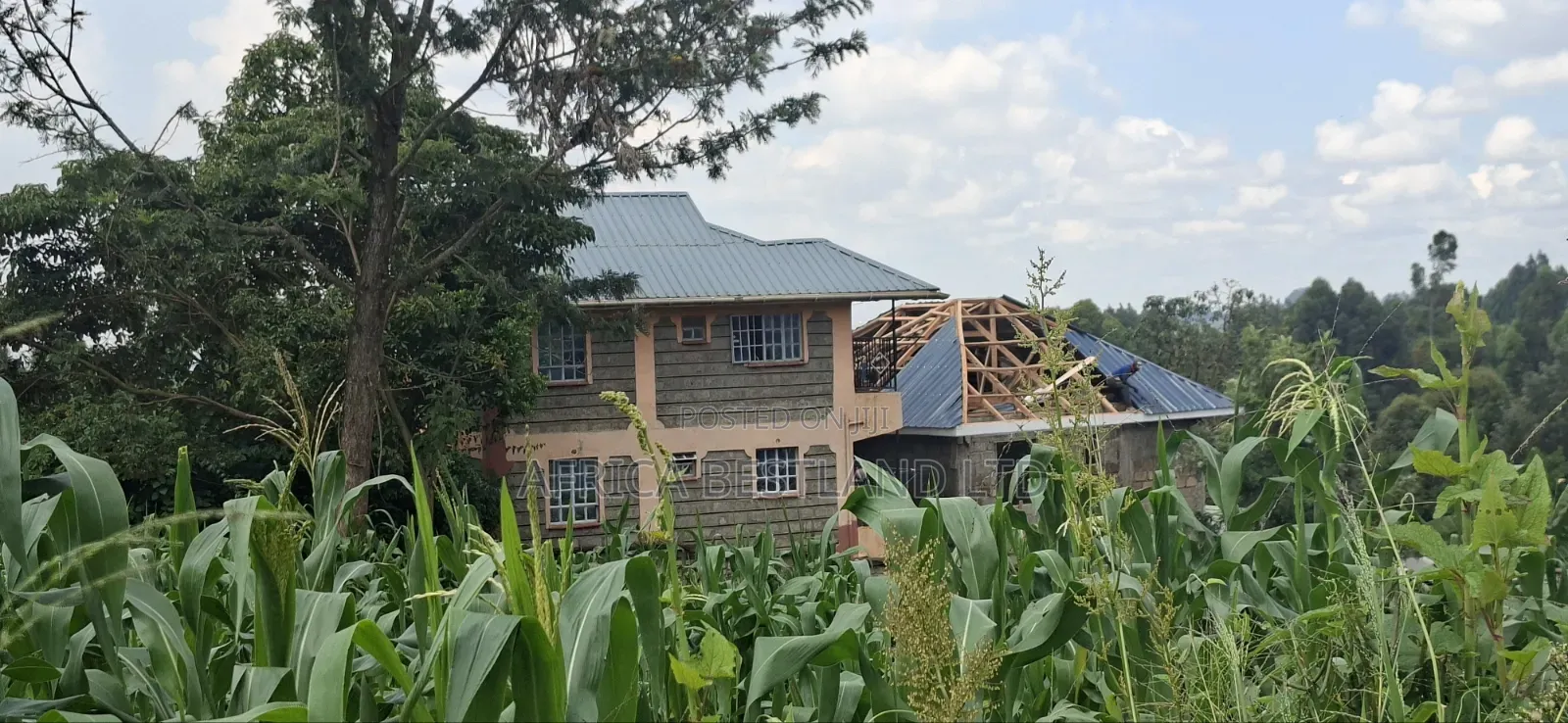 Prime 50x100 Plot for Sale – Kabete Kibiciku