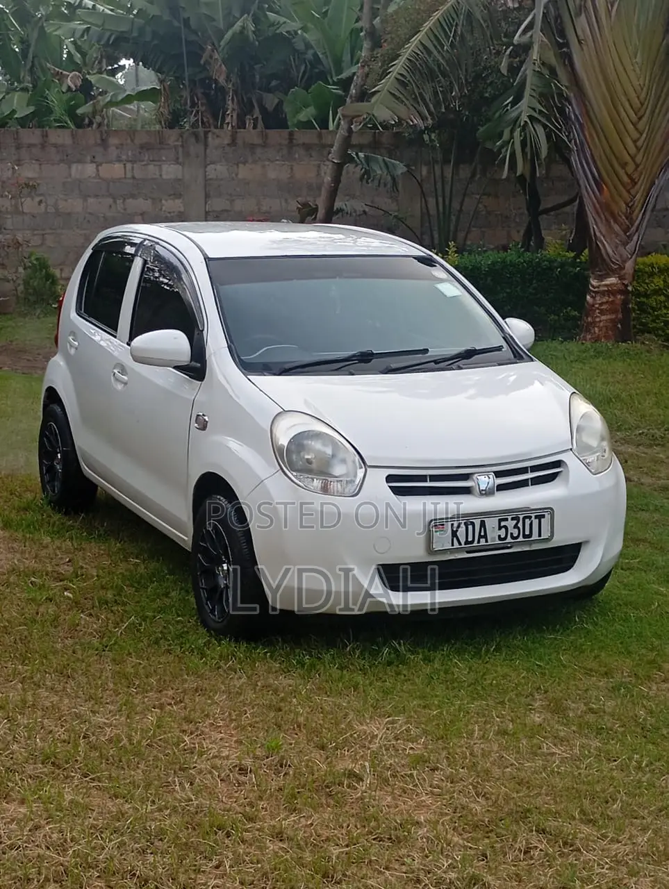 Toyota Passo 2013 White
