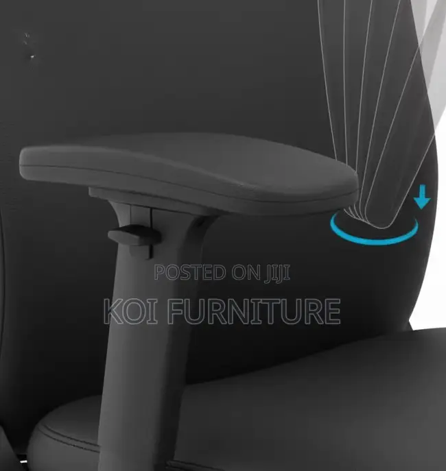 Office Chairs; Sytas Orthopedic Executive Office Chairs