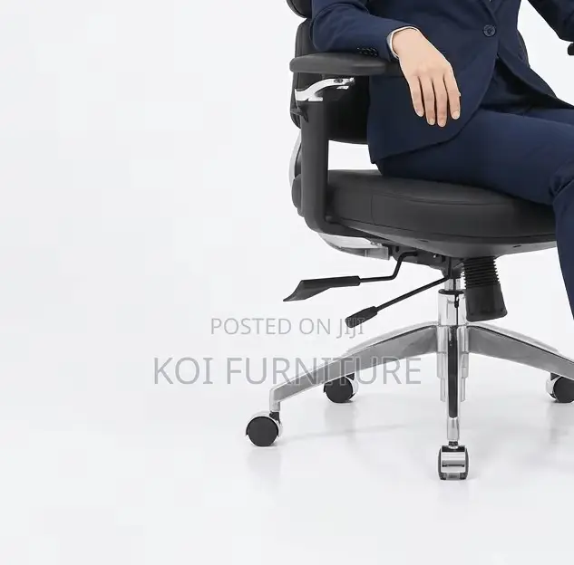 Office Chairs; Sytas Orthopedic Executive Office Chairs