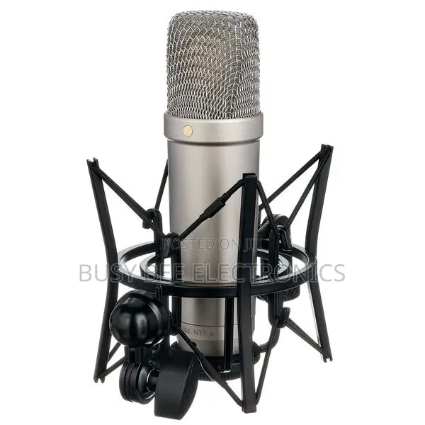 Large Diaphragm Microphones Nt1a