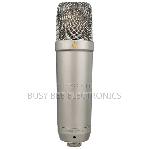 Large Diaphragm Microphones Nt1a