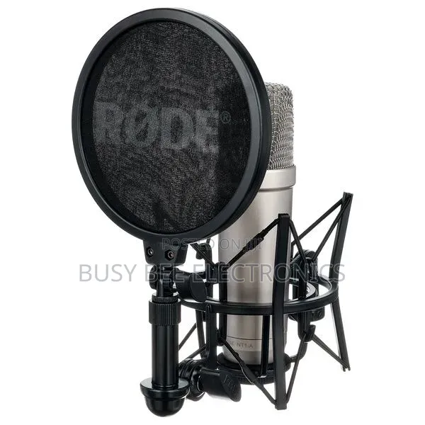 Large Diaphragm Microphones Nt1a