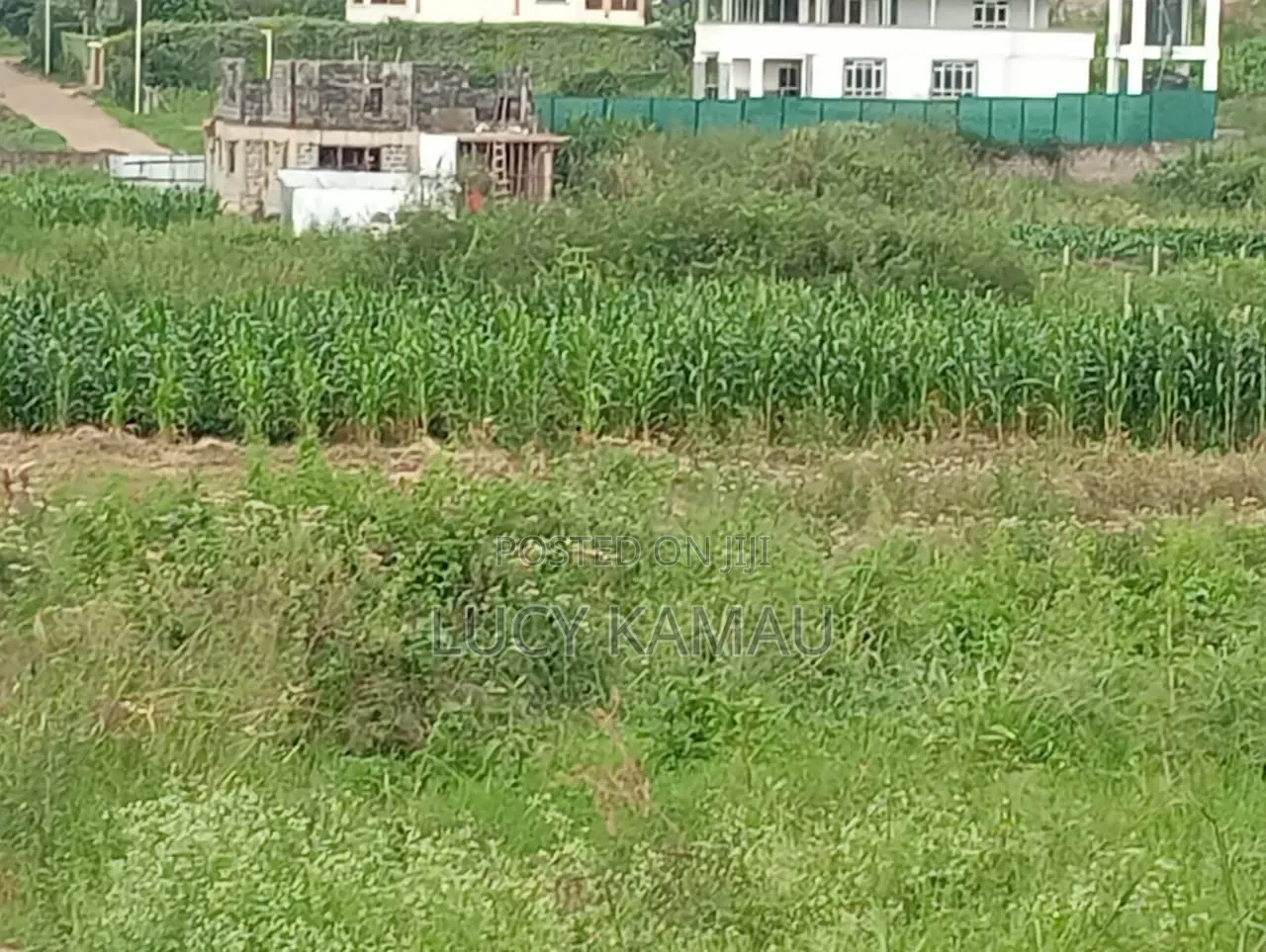 Prime 50x100 Gated Community Plots Kiambu Near Tatu City