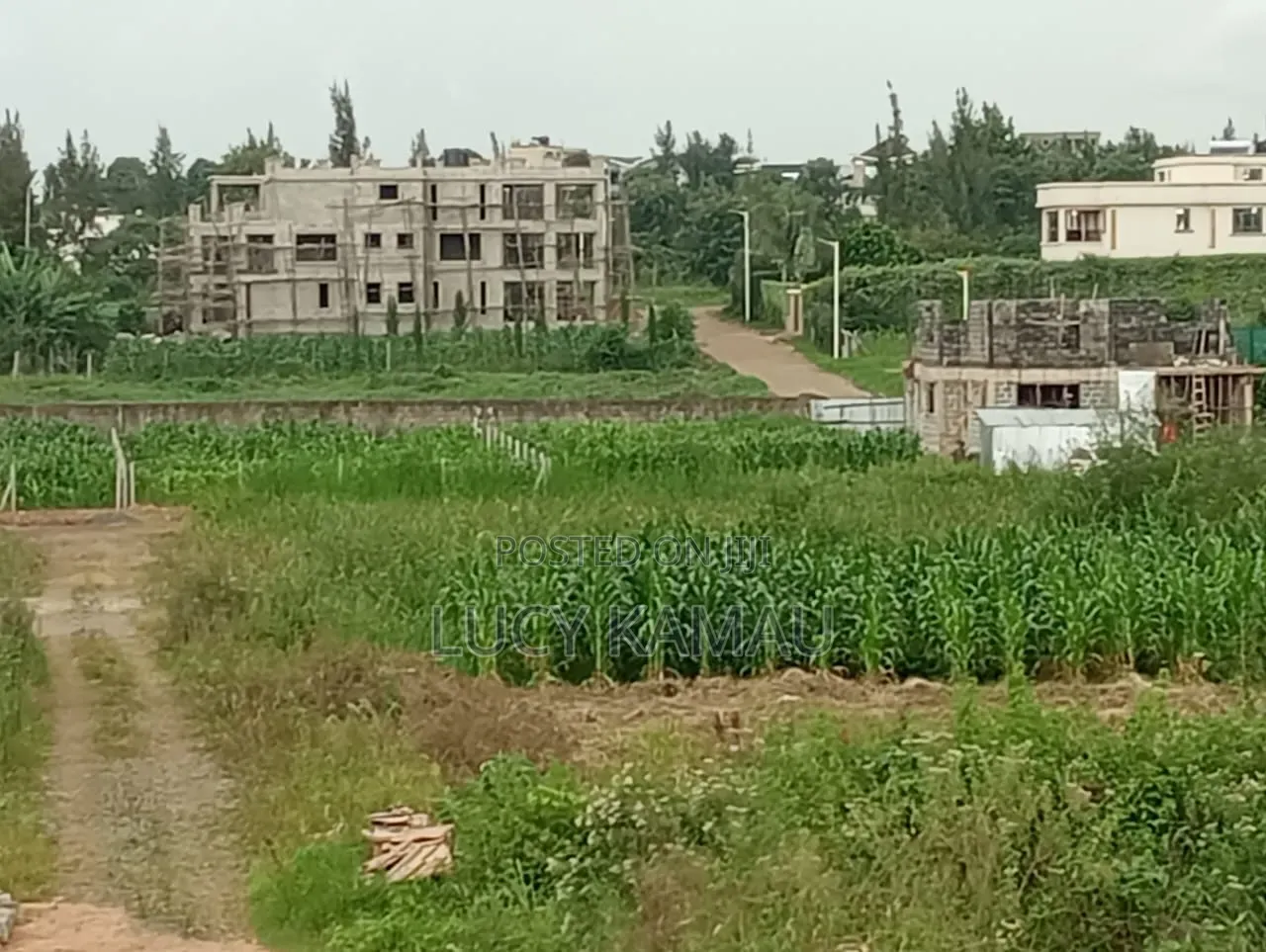 Prime 50x100 Gated Community Plots Kiambu Near Tatu City